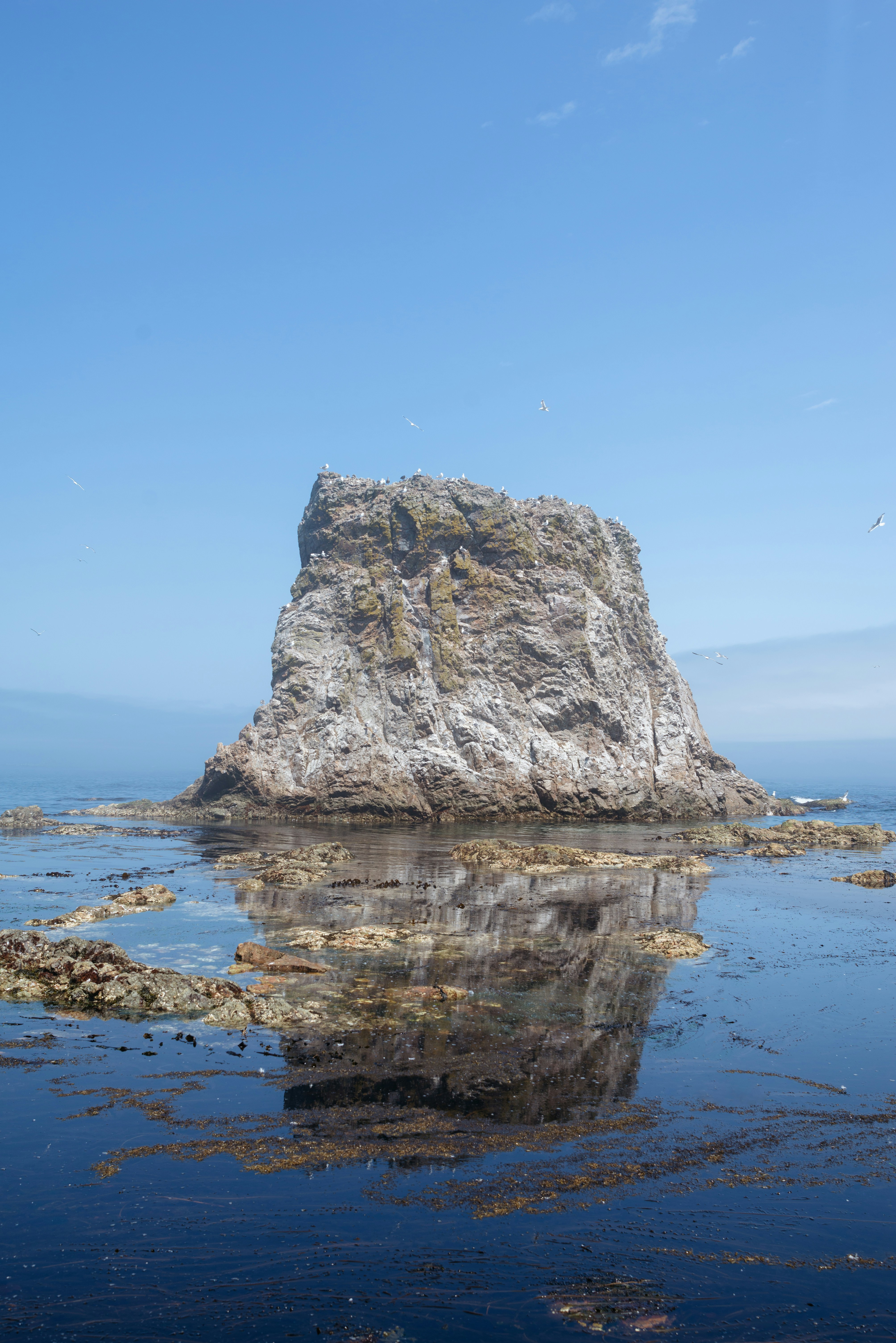 Foto Una gran roca en el agua – Imagen Rusia gratis en Unsplash