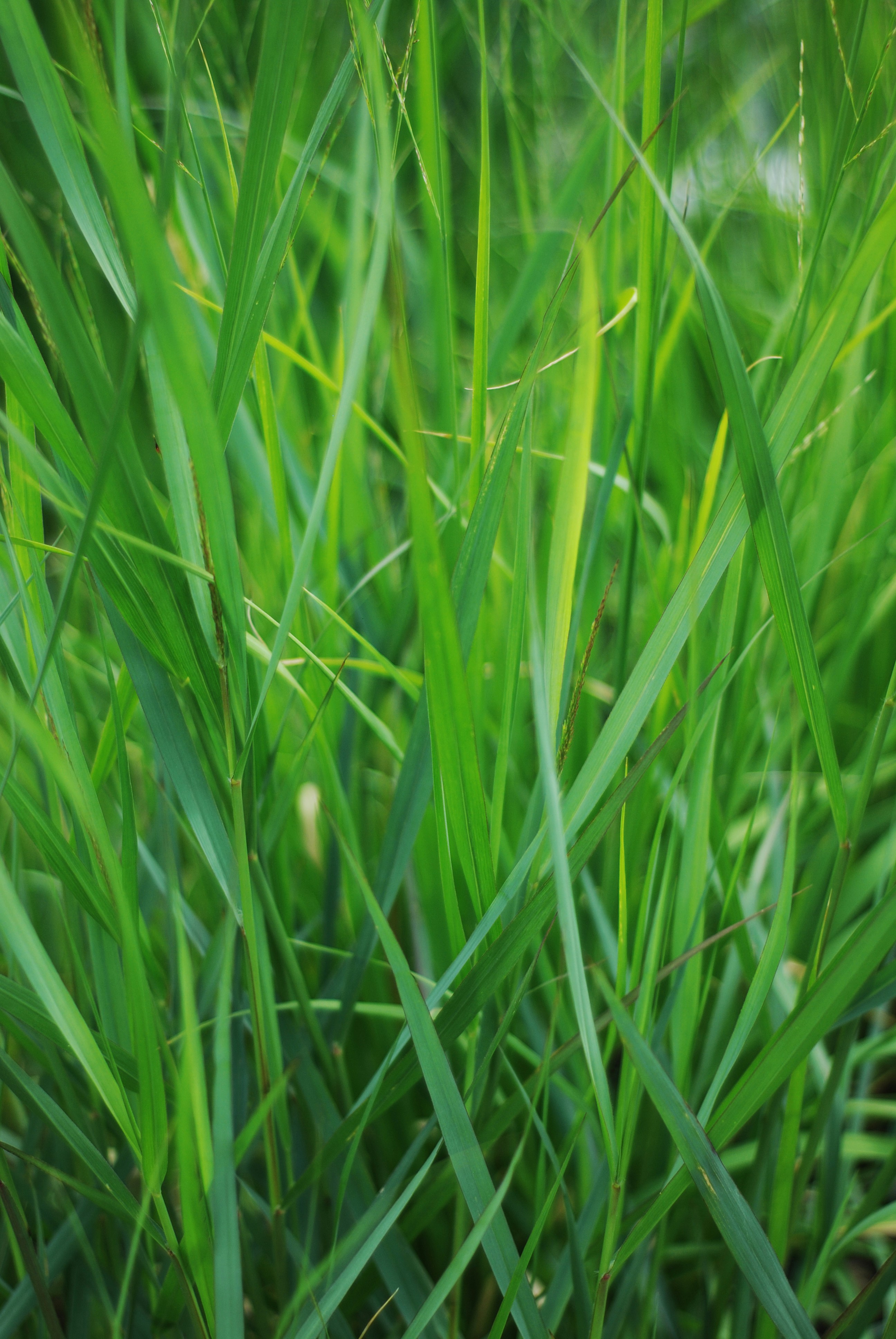 Photo by kovalskihelga