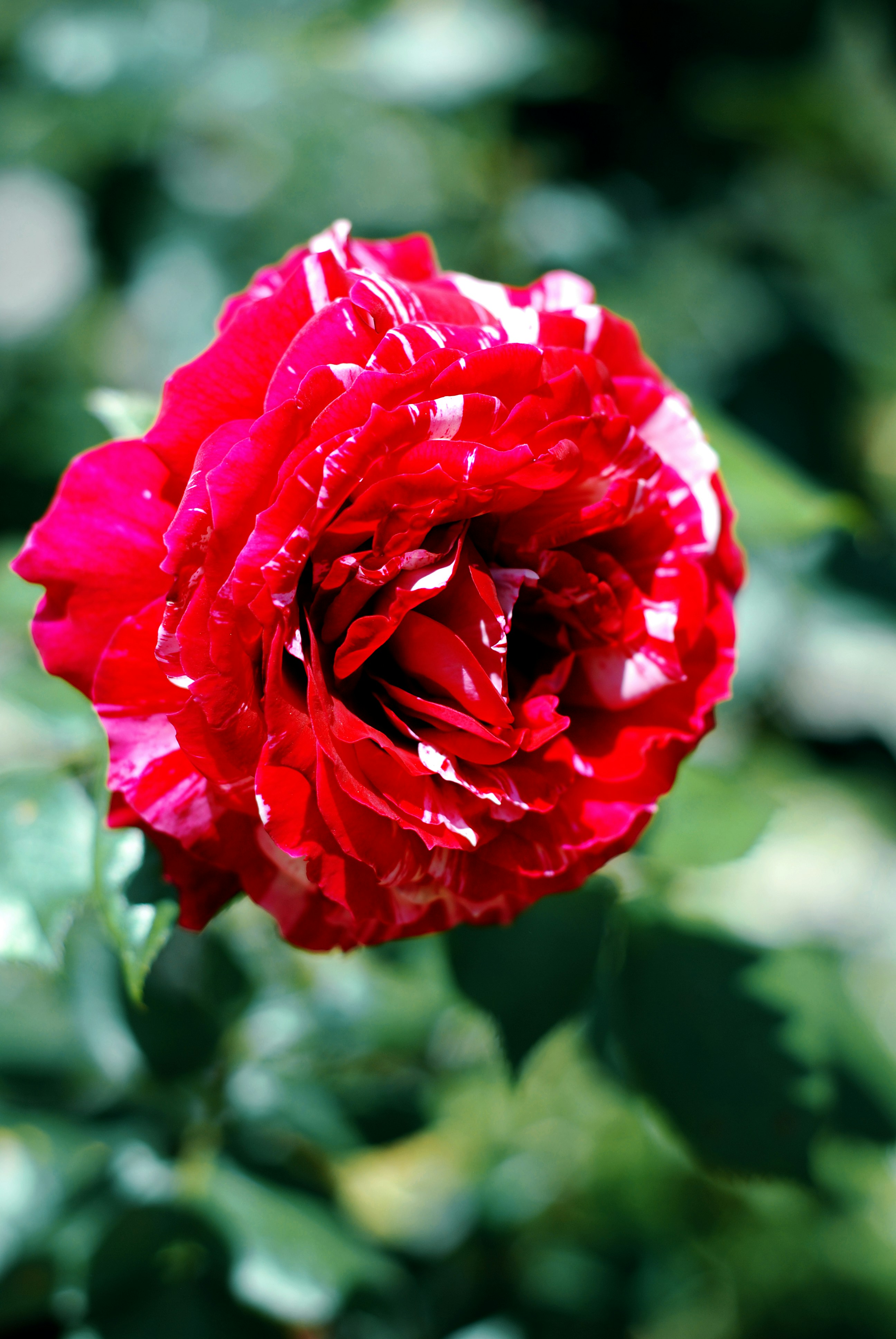 Photo by kovalskihelga