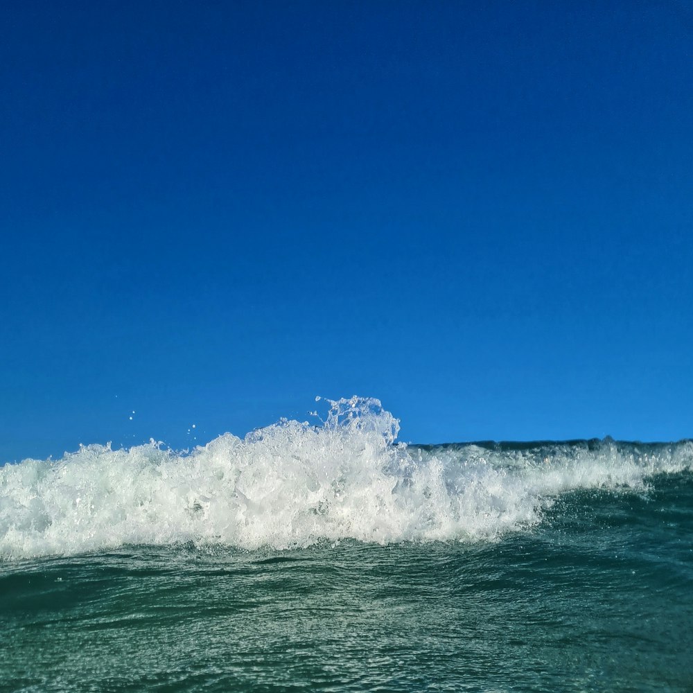 a wave in the ocean