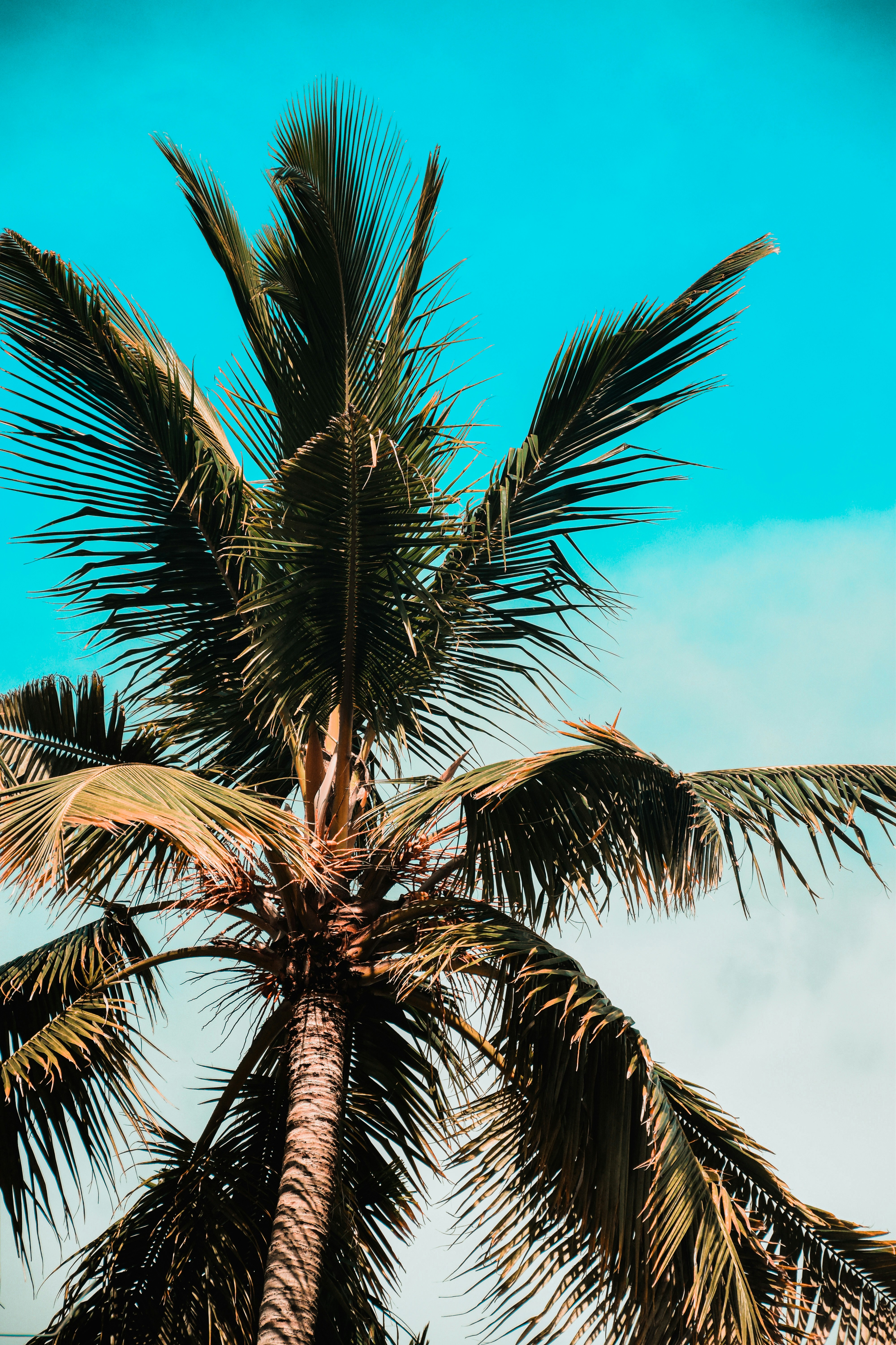 Photo by ankita_clicks