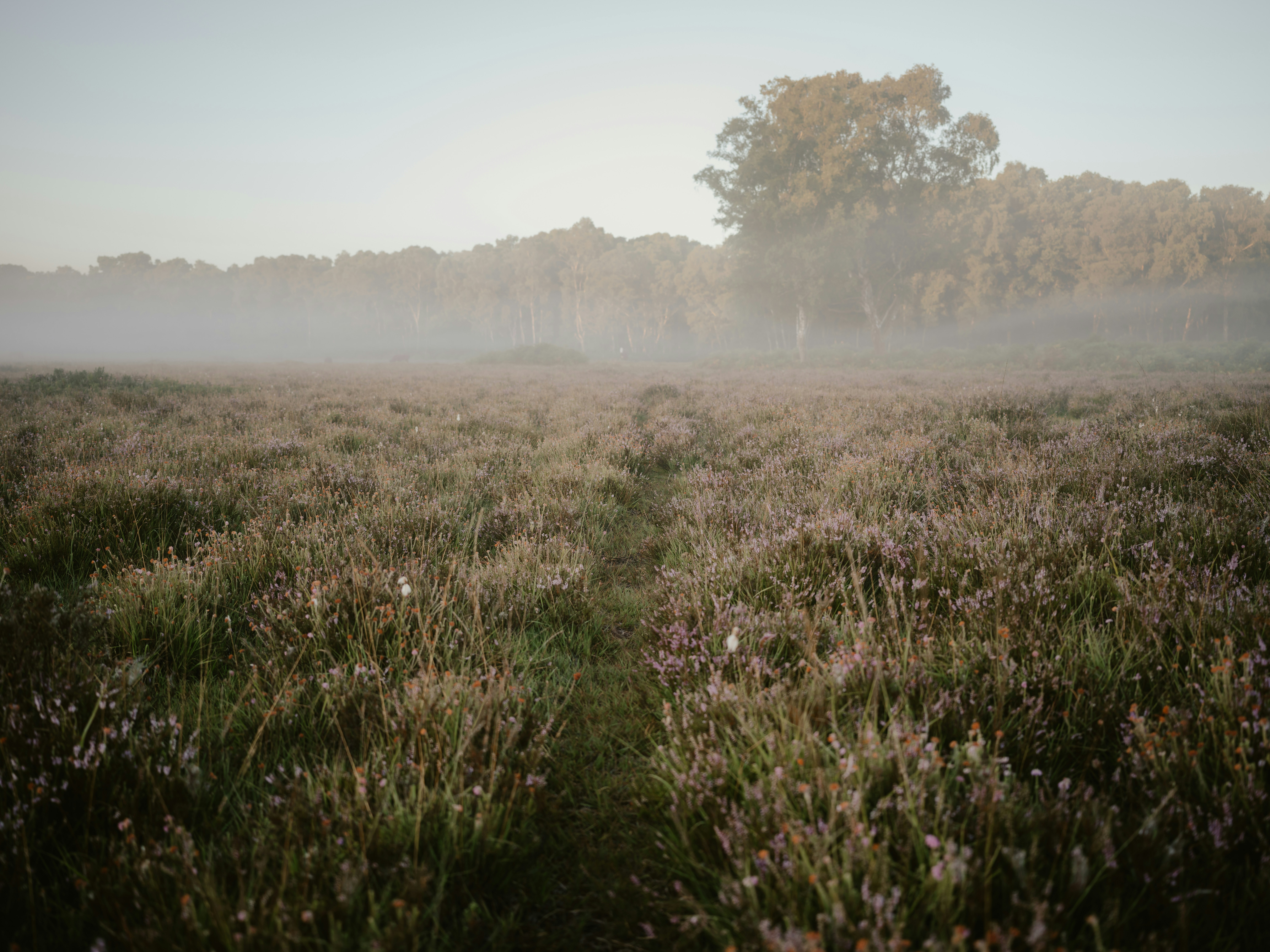 Photo by anniespratt