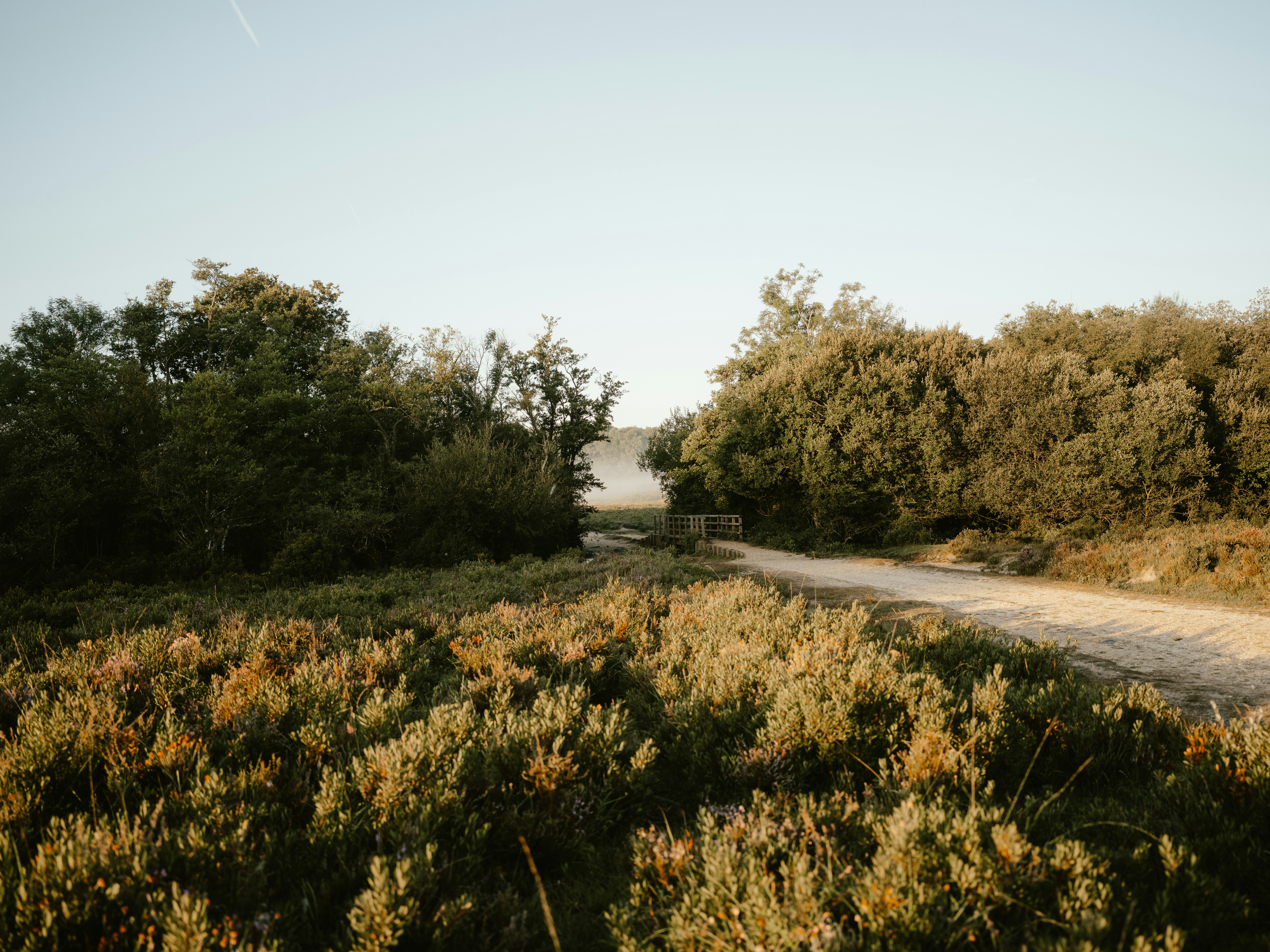 Photo by anniespratt