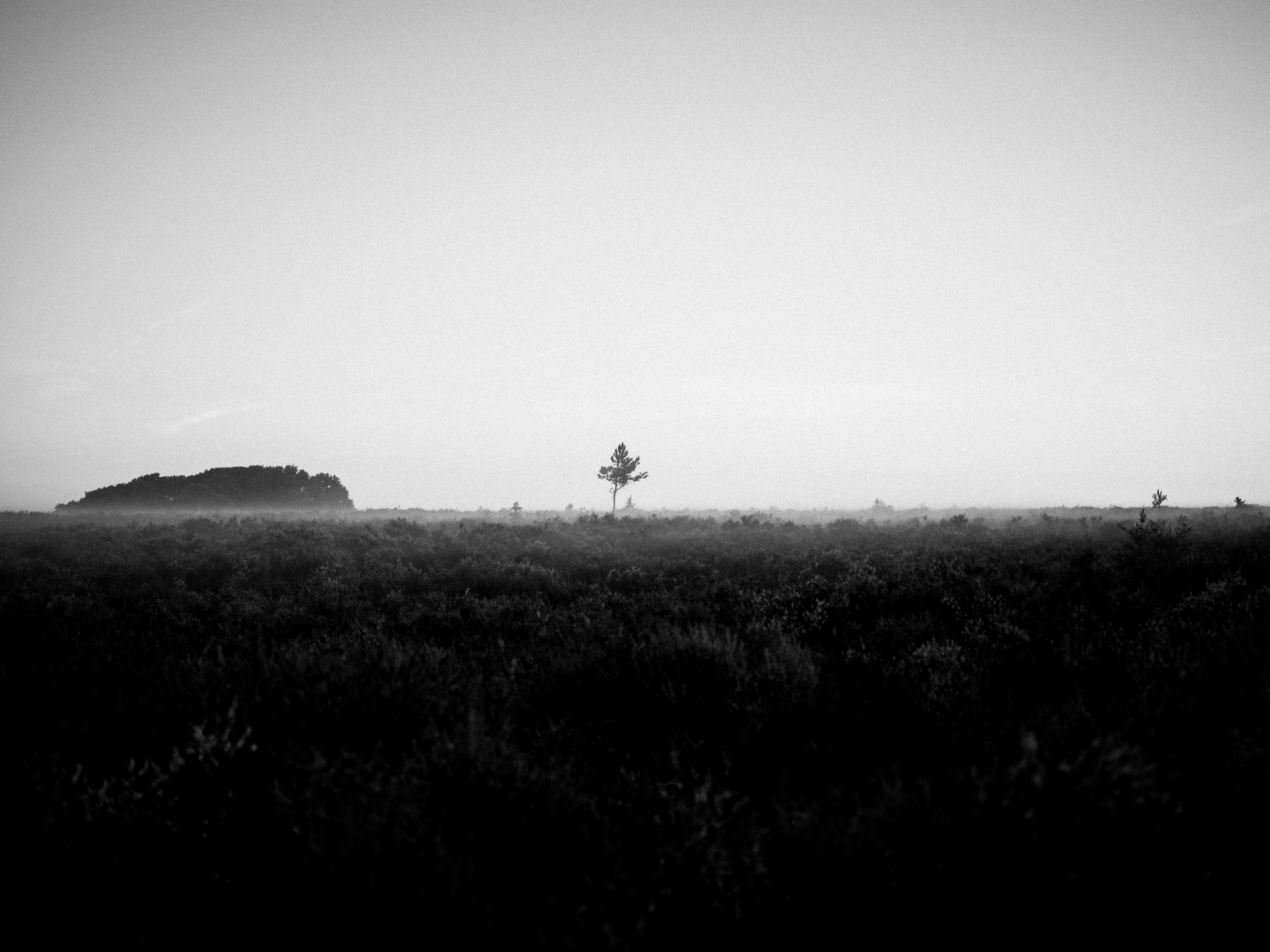 Photo by anniespratt