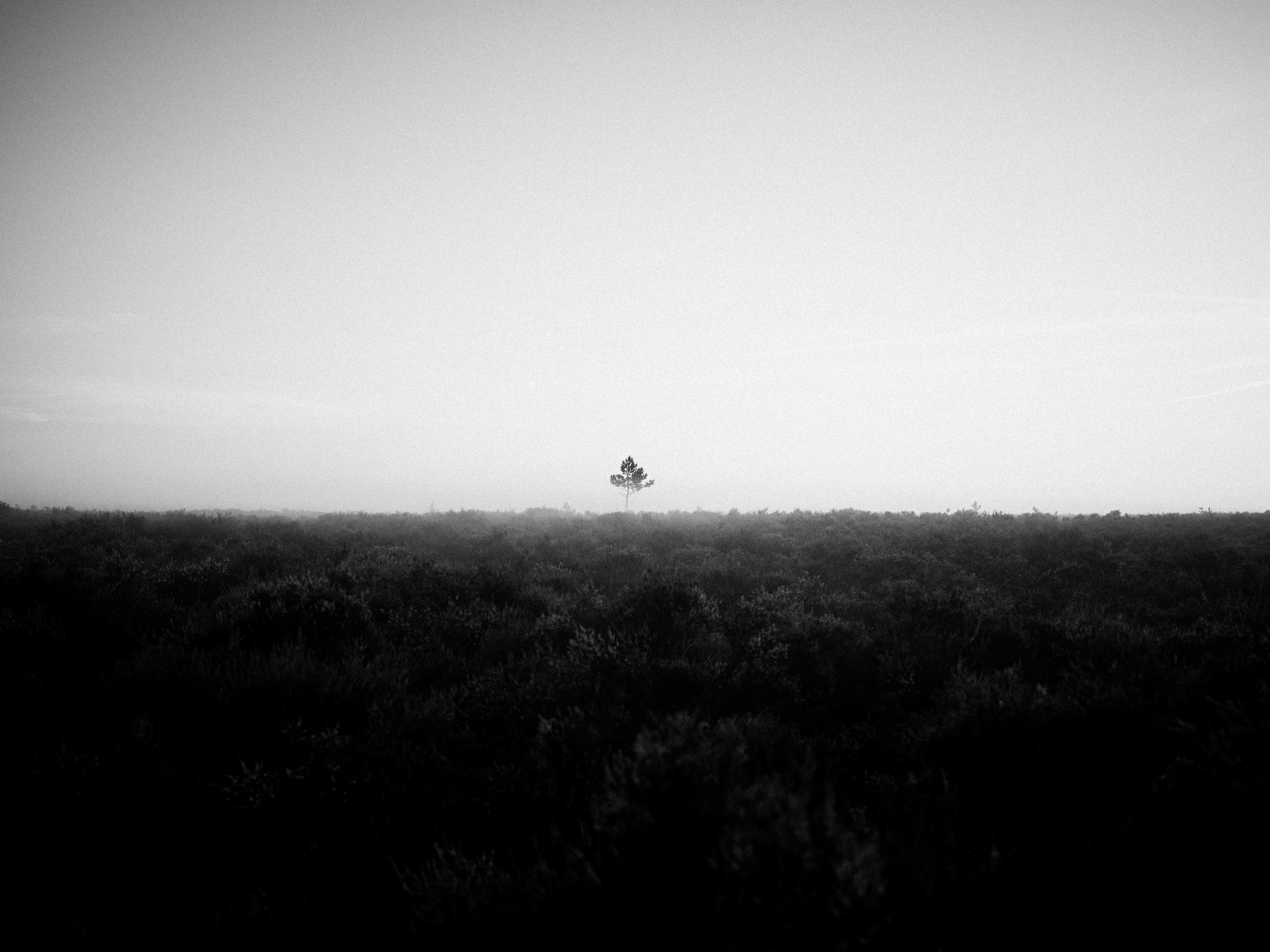 Photo by anniespratt