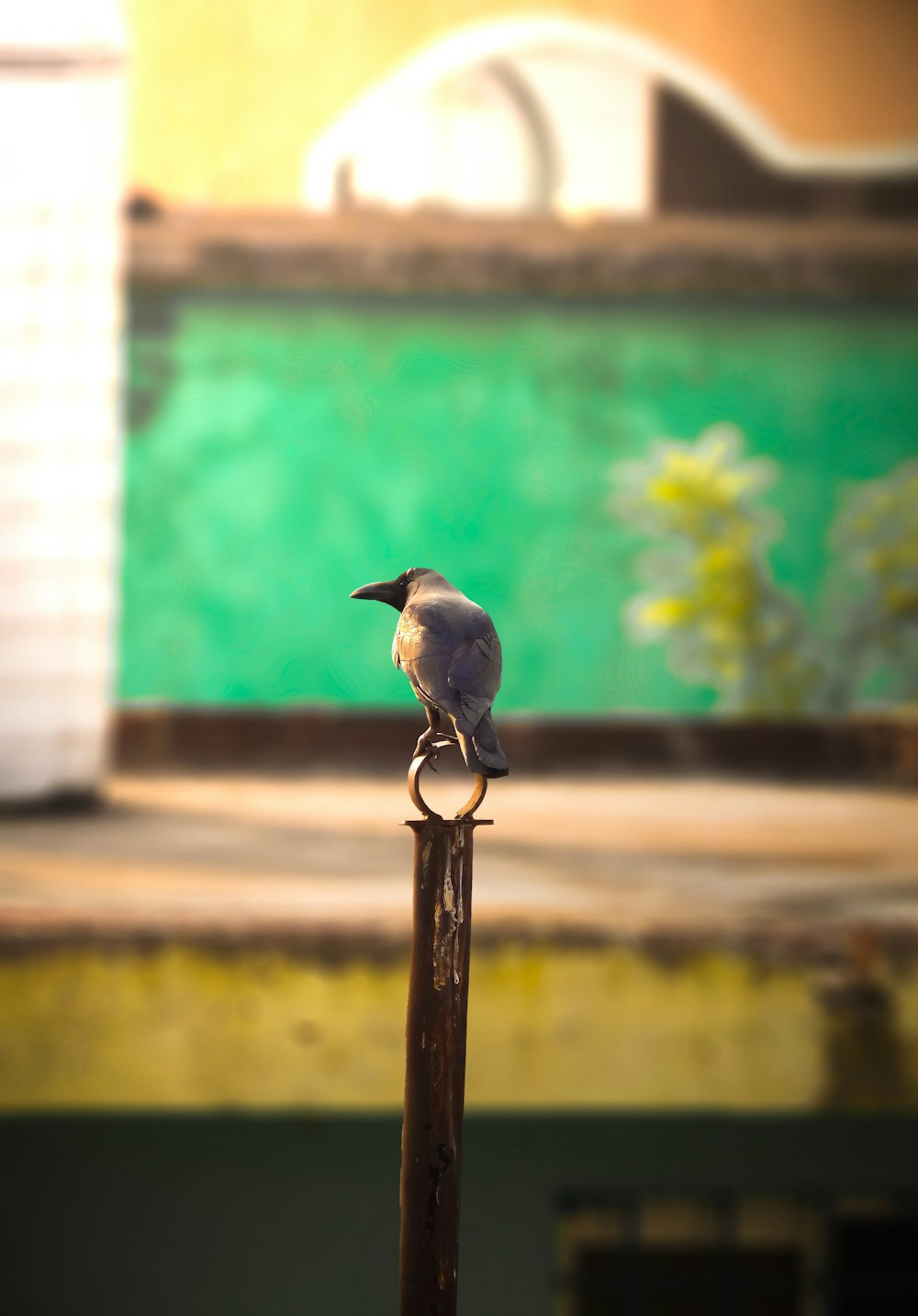 Ein Vogel sitzt auf einem Stock