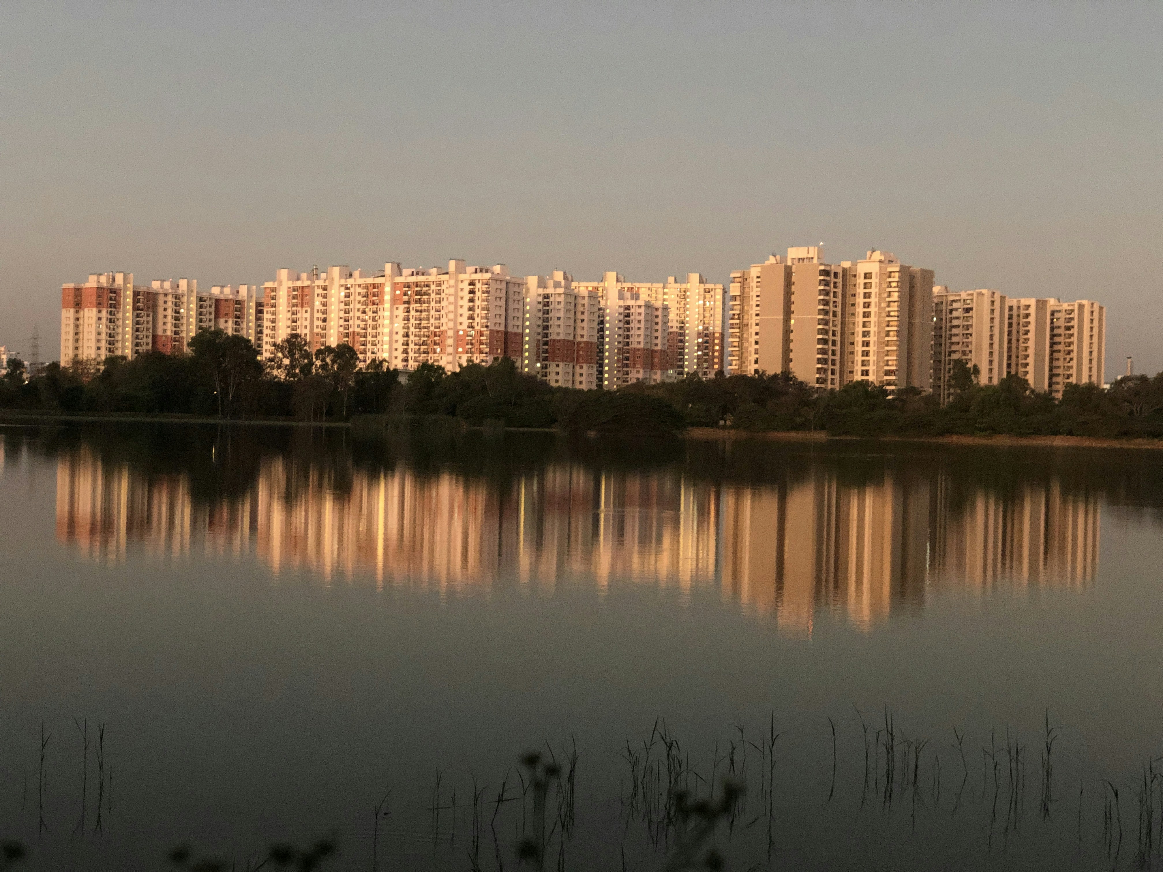 Containers in Medicine Lake, MT
