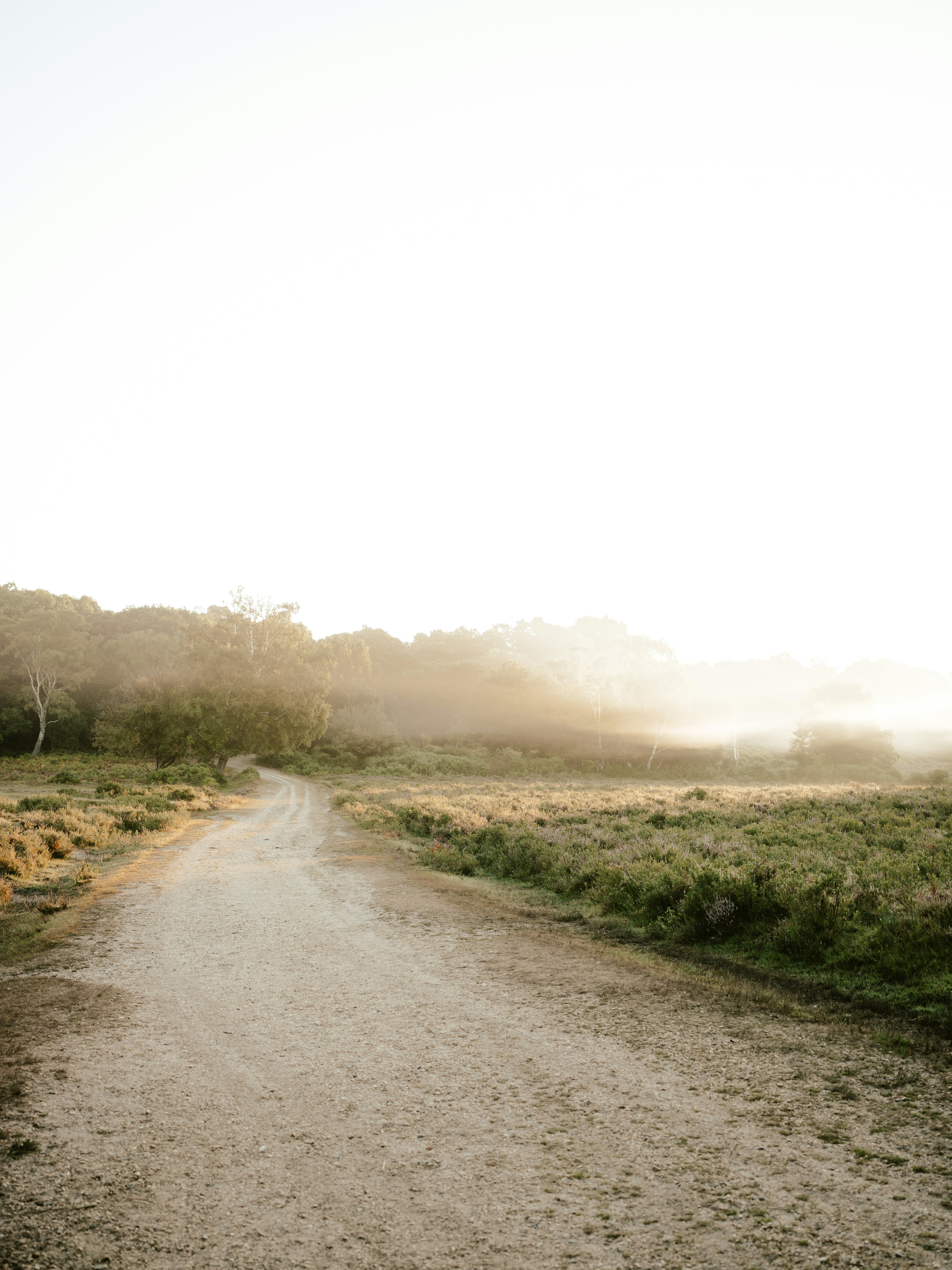 Photo by anniespratt