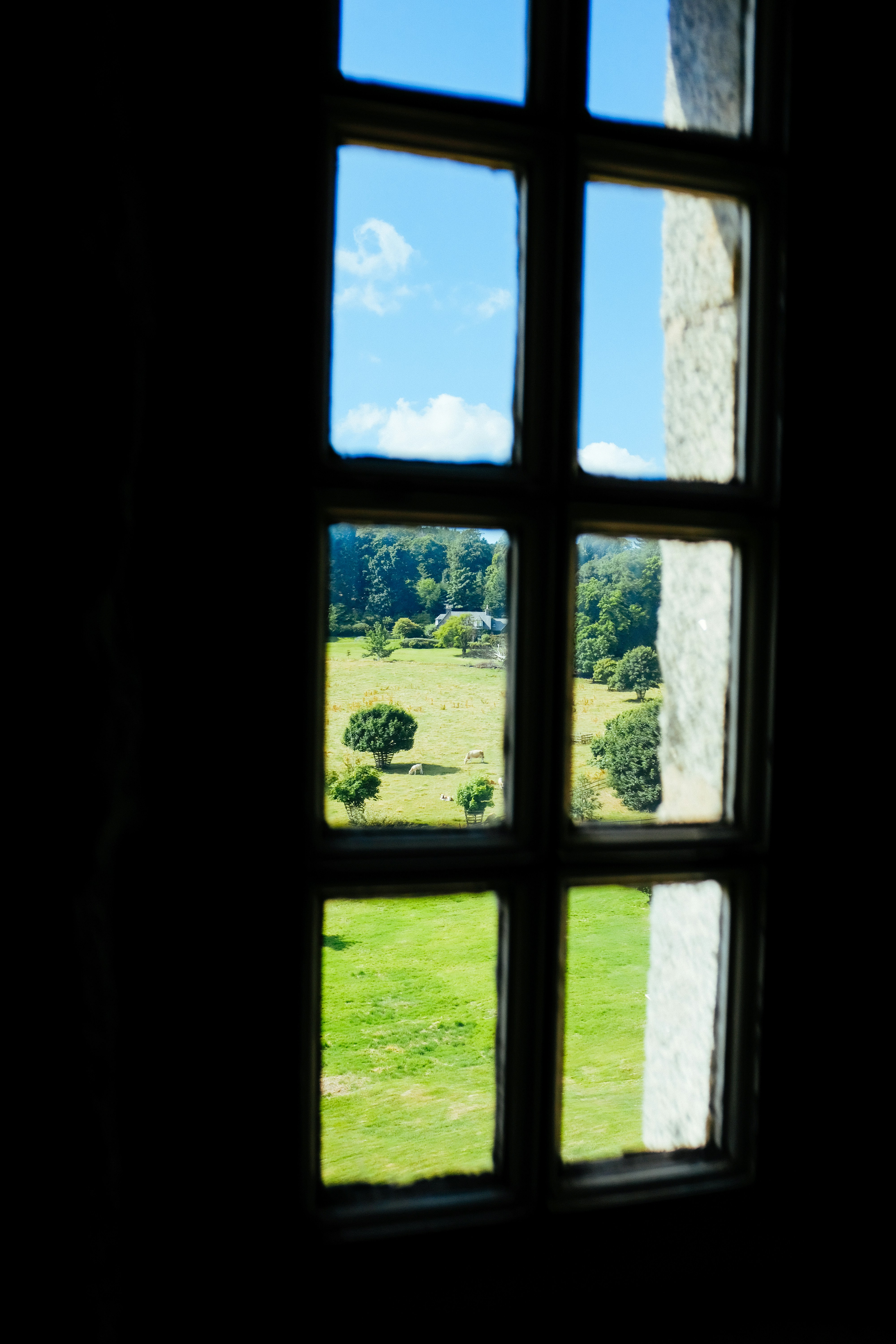 Photo by adrienolichon
