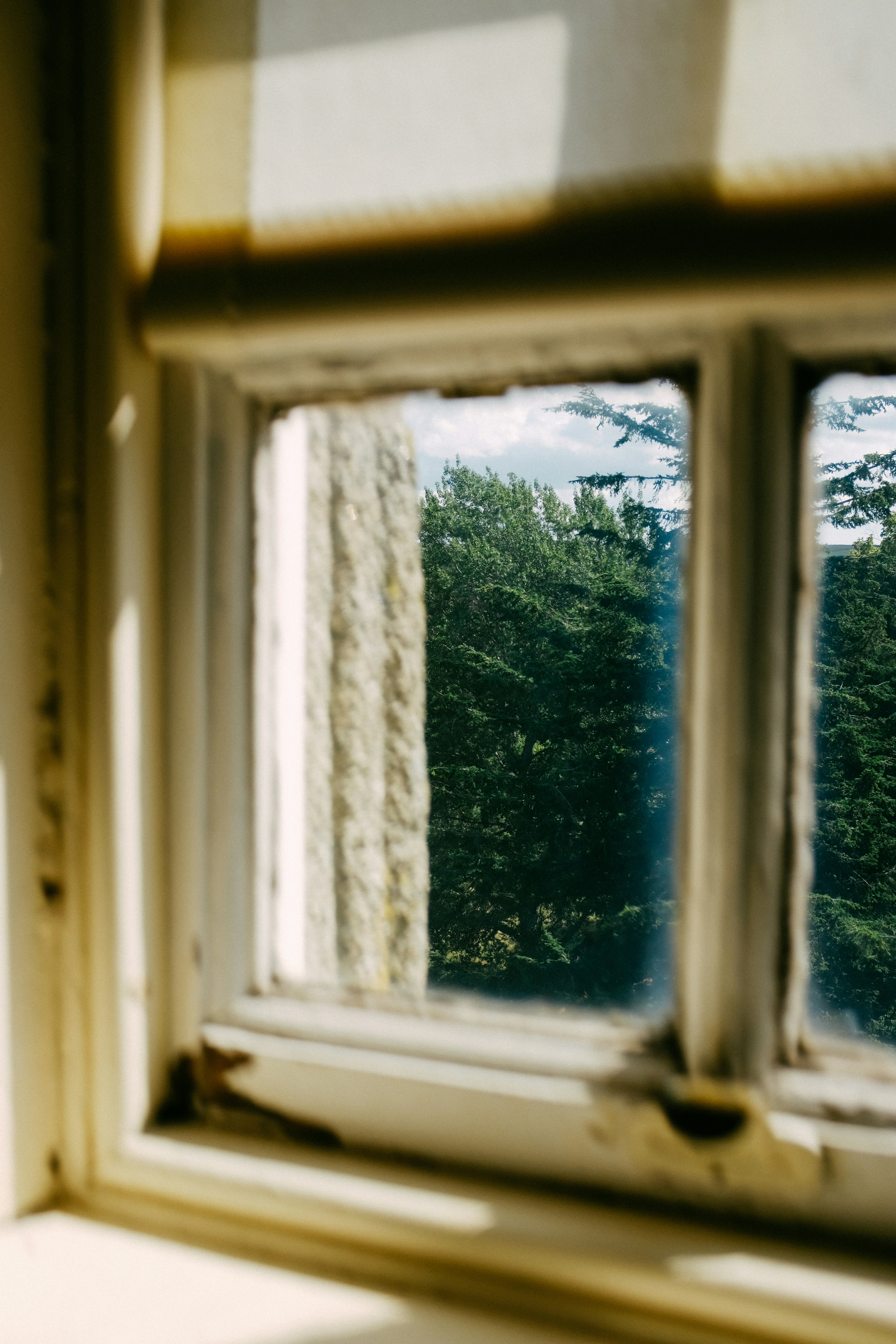 Photo by adrienolichon