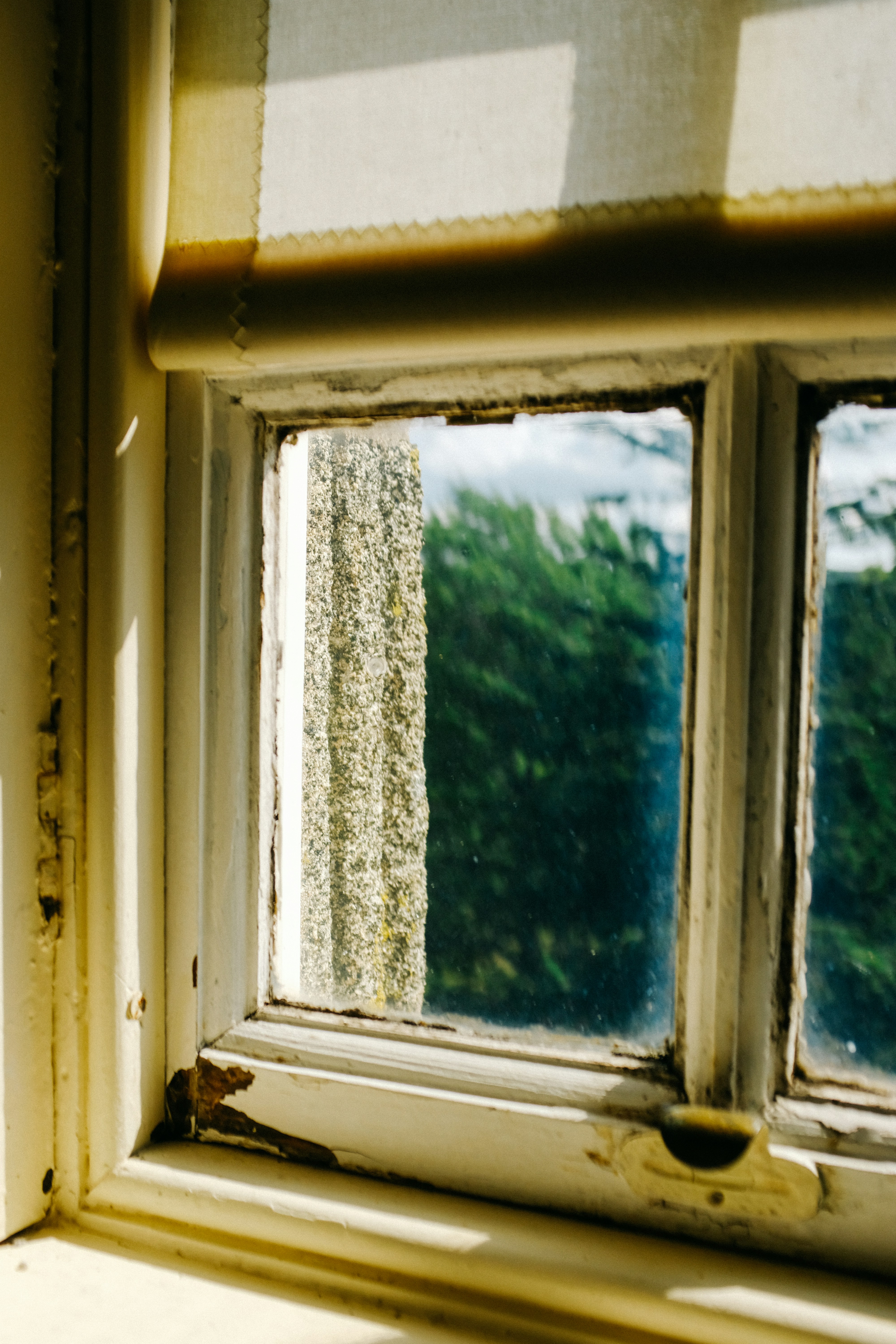 Photo by adrienolichon