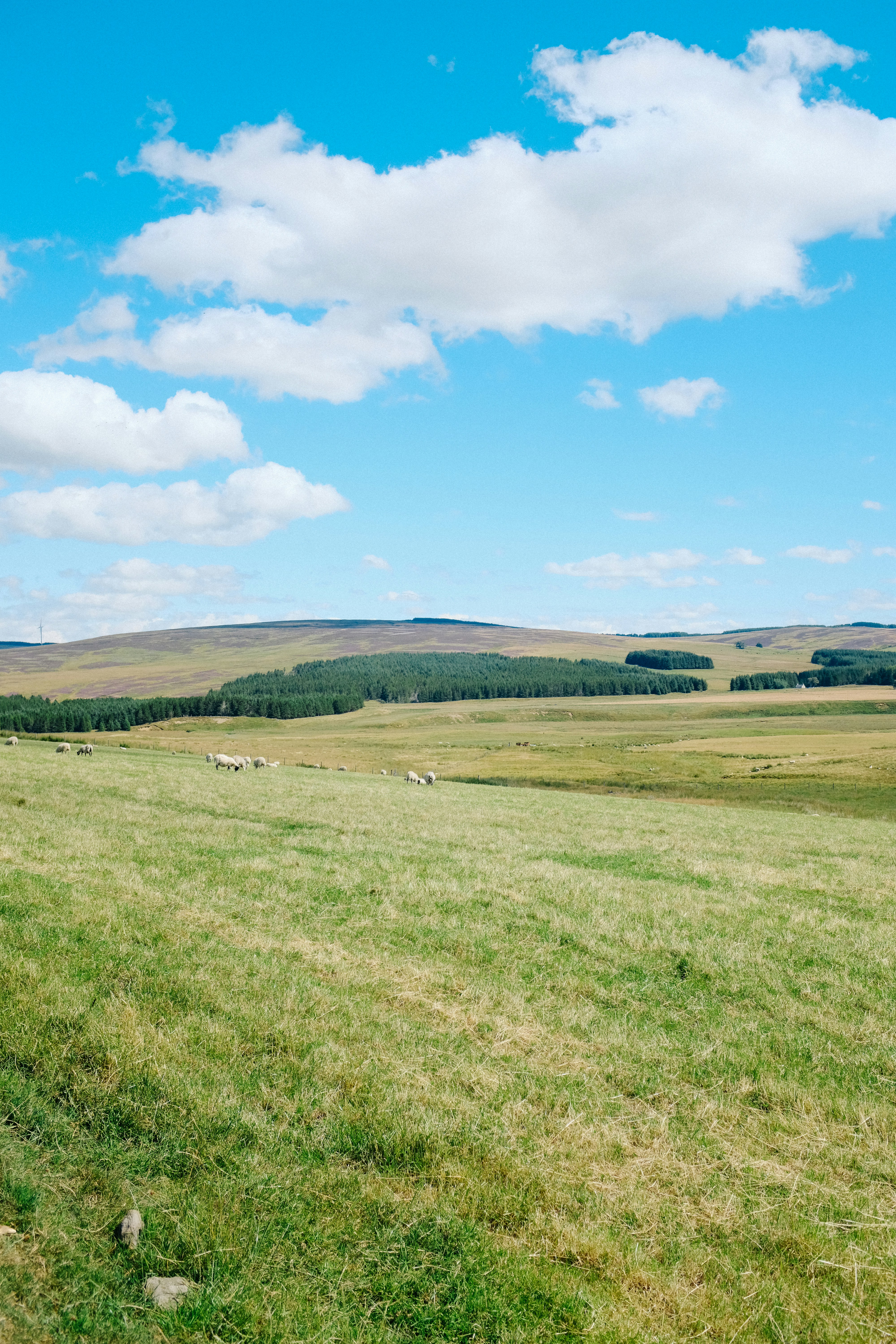 Photo by adrienolichon