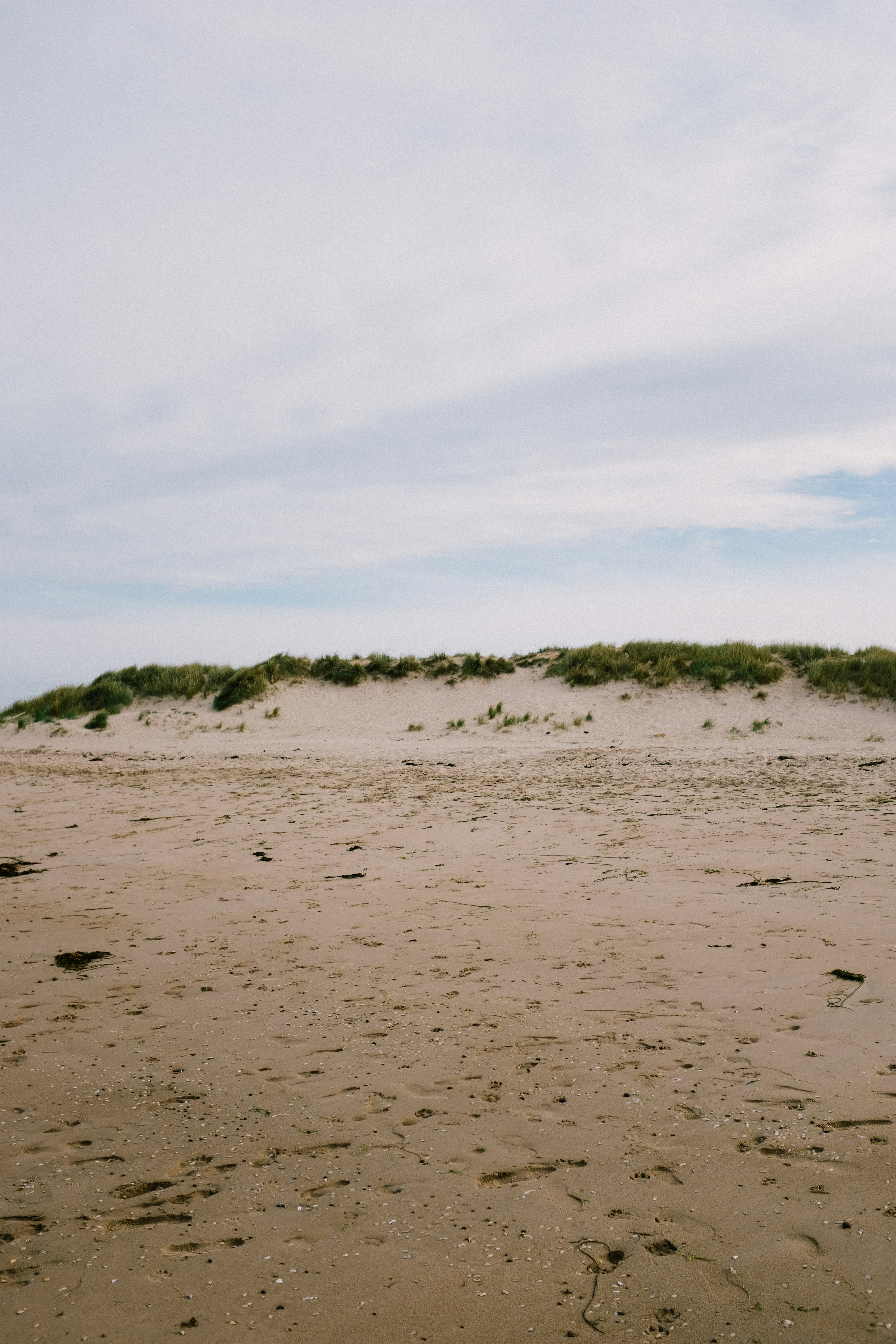 Photo by adrienolichon