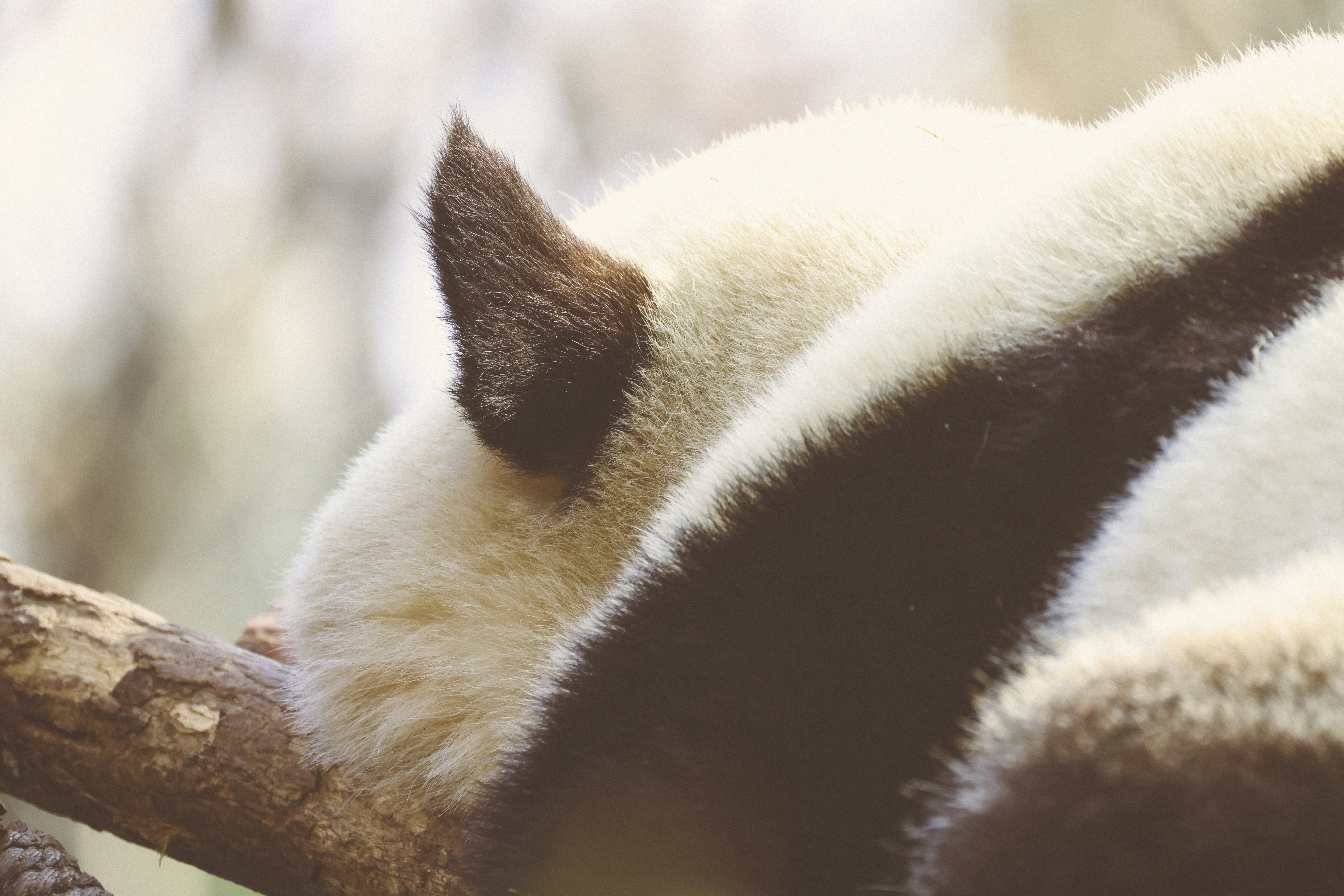 Photo by arttoinspire