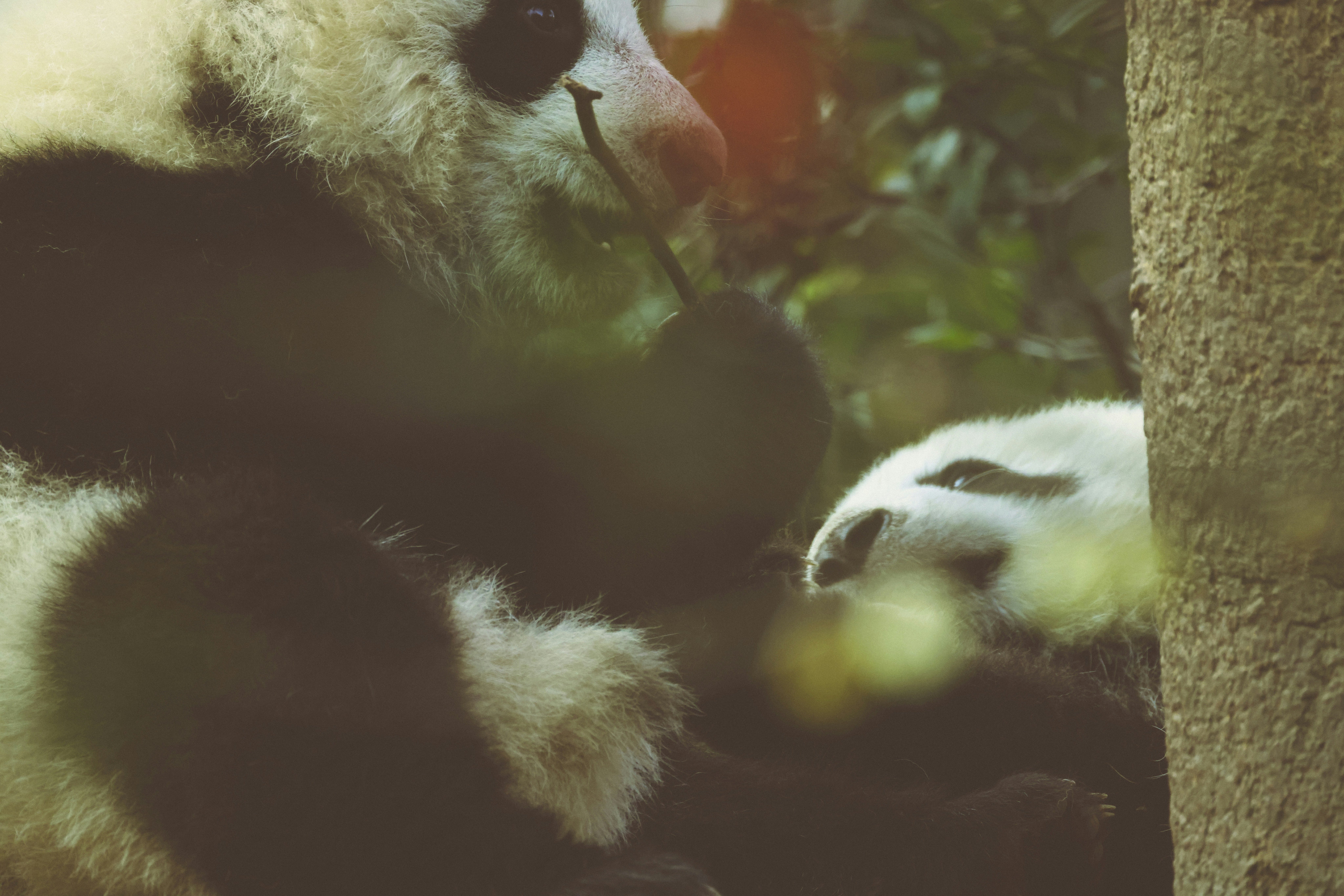 Photo by arttoinspire