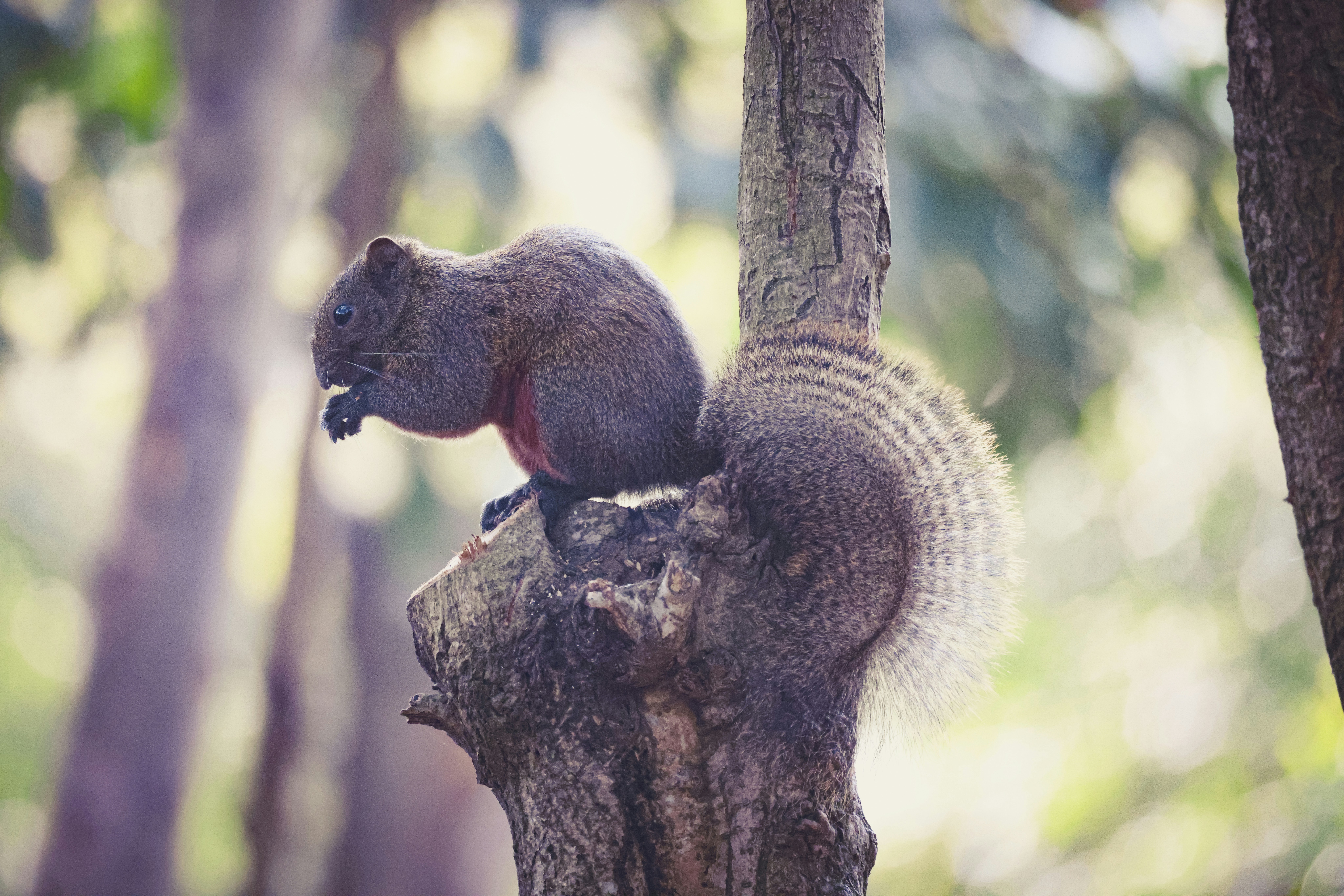 Photo by arttoinspire