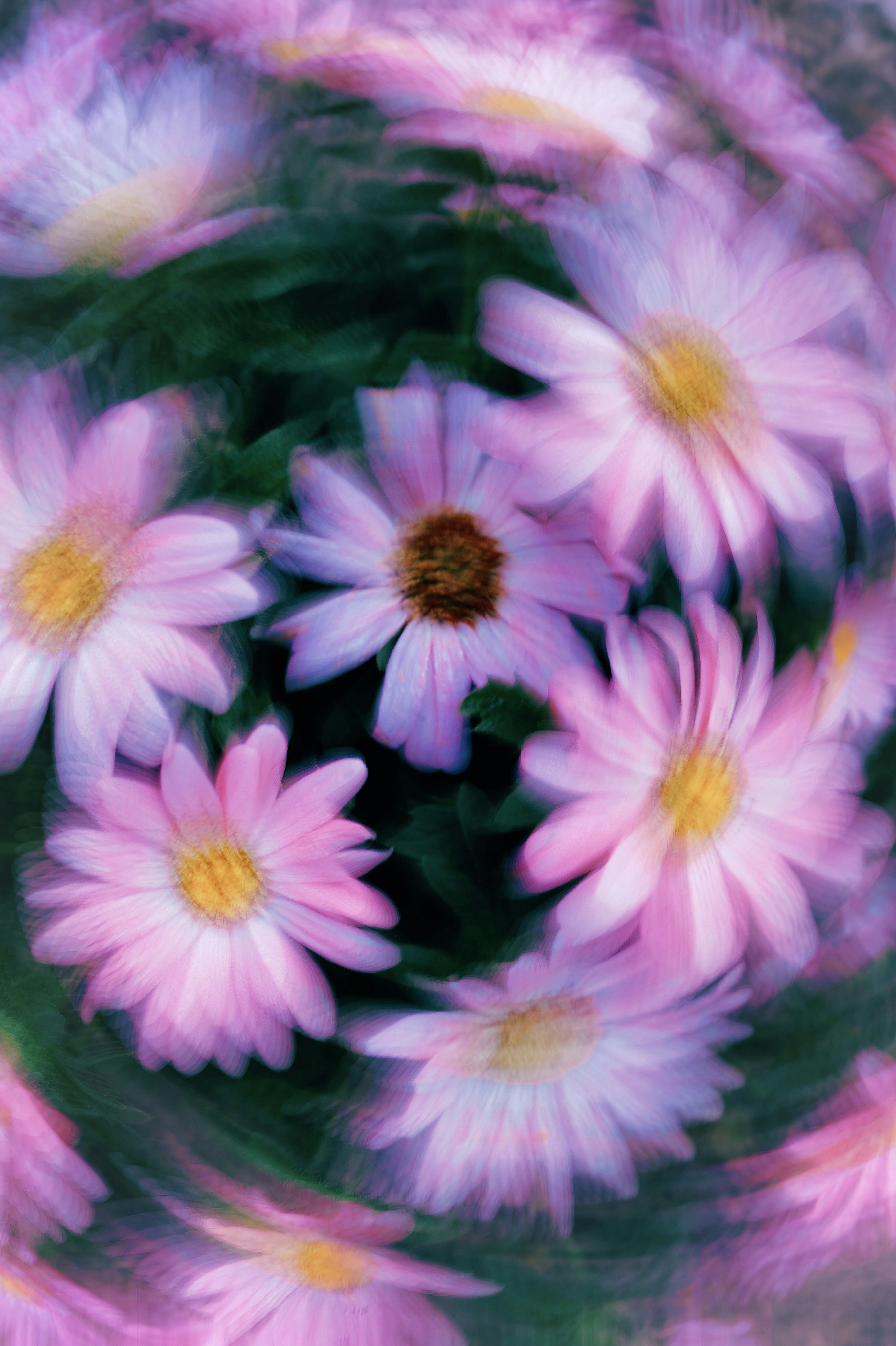 Photo by eugene_golovesov