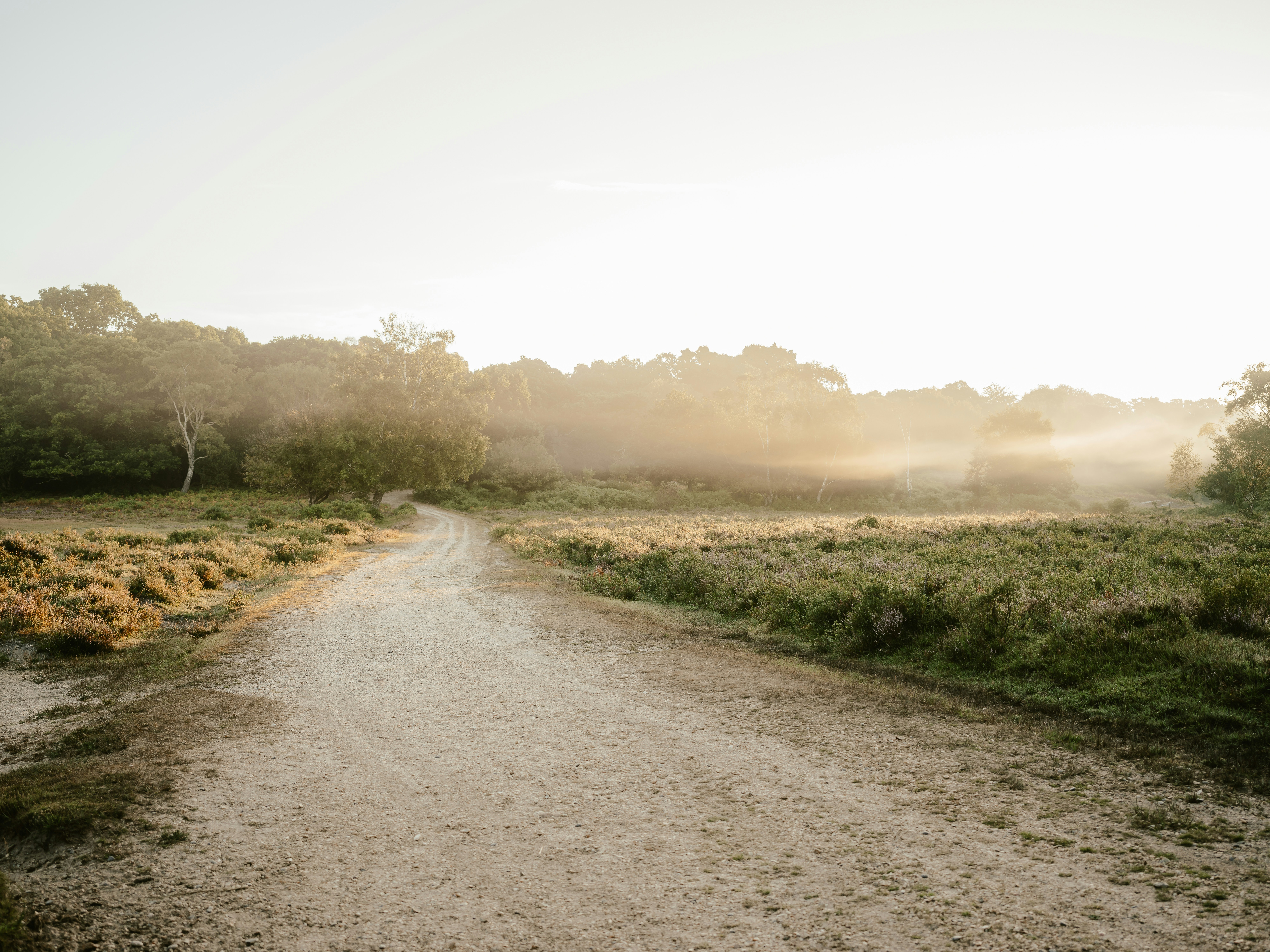 Photo by anniespratt