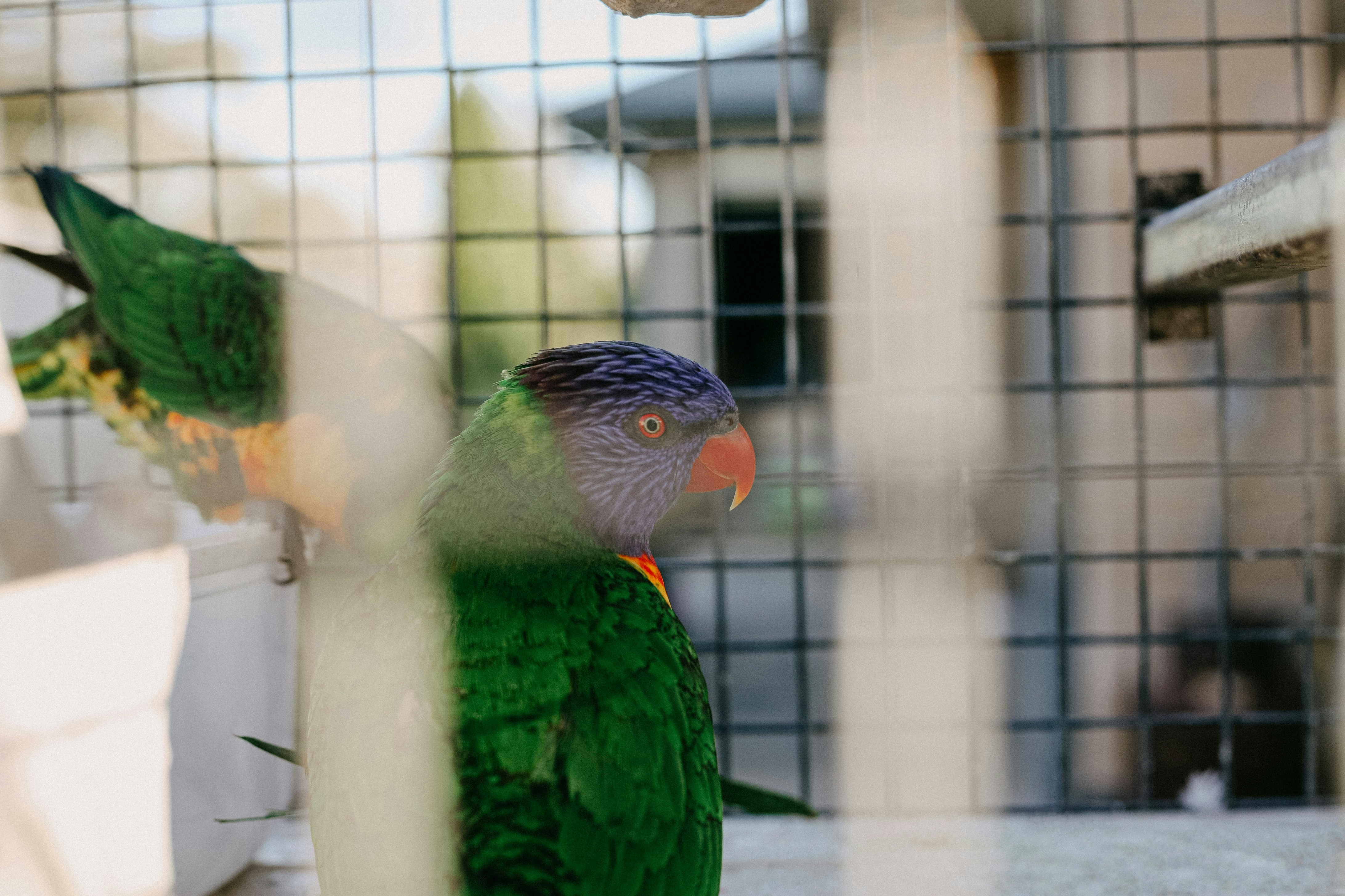 Photo by jamesmctaggart