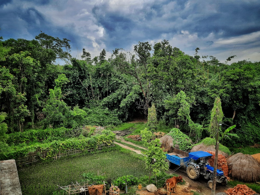 a farm with trees and a tractor