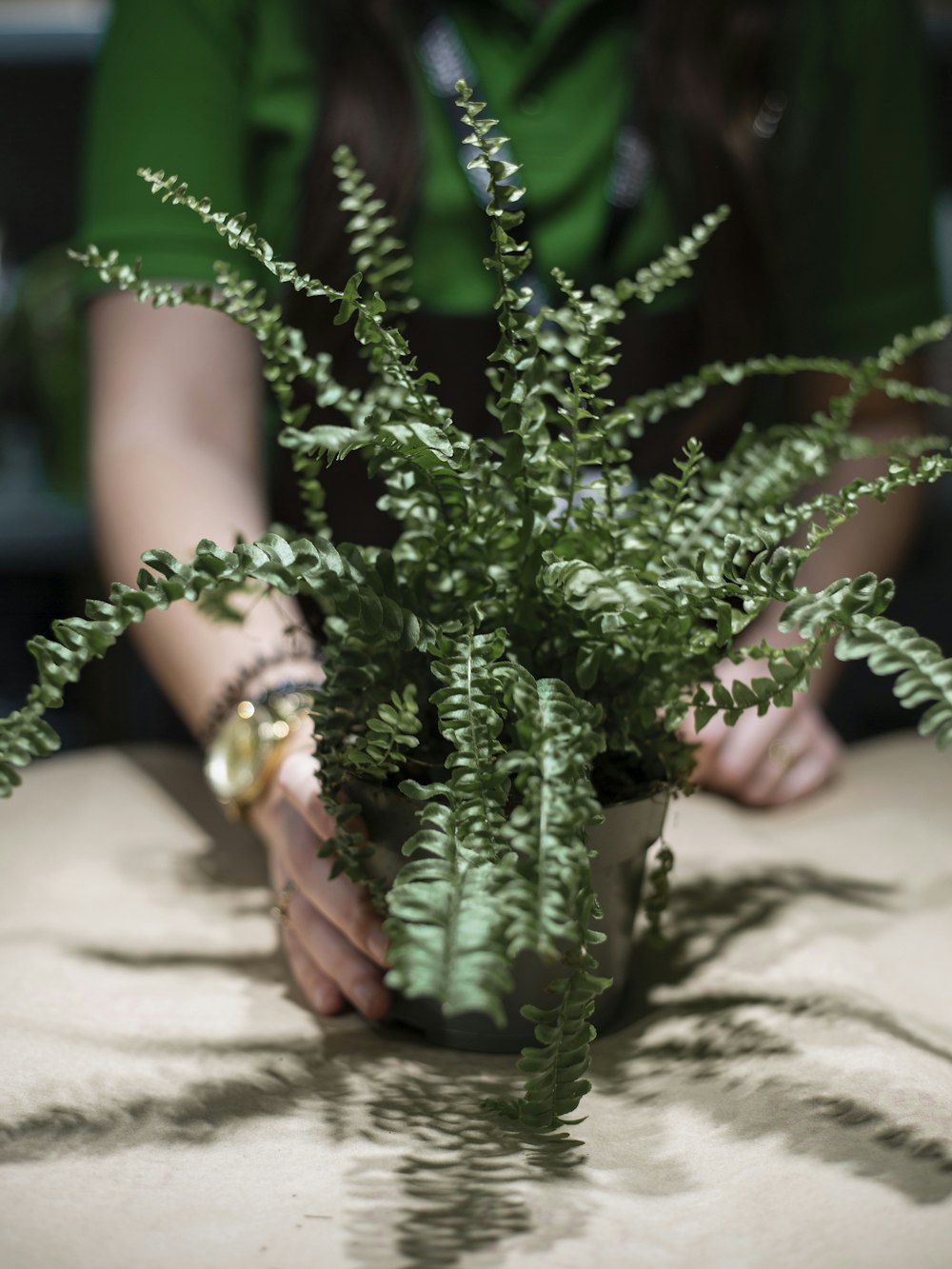 a person holding a bunch of green vegetables