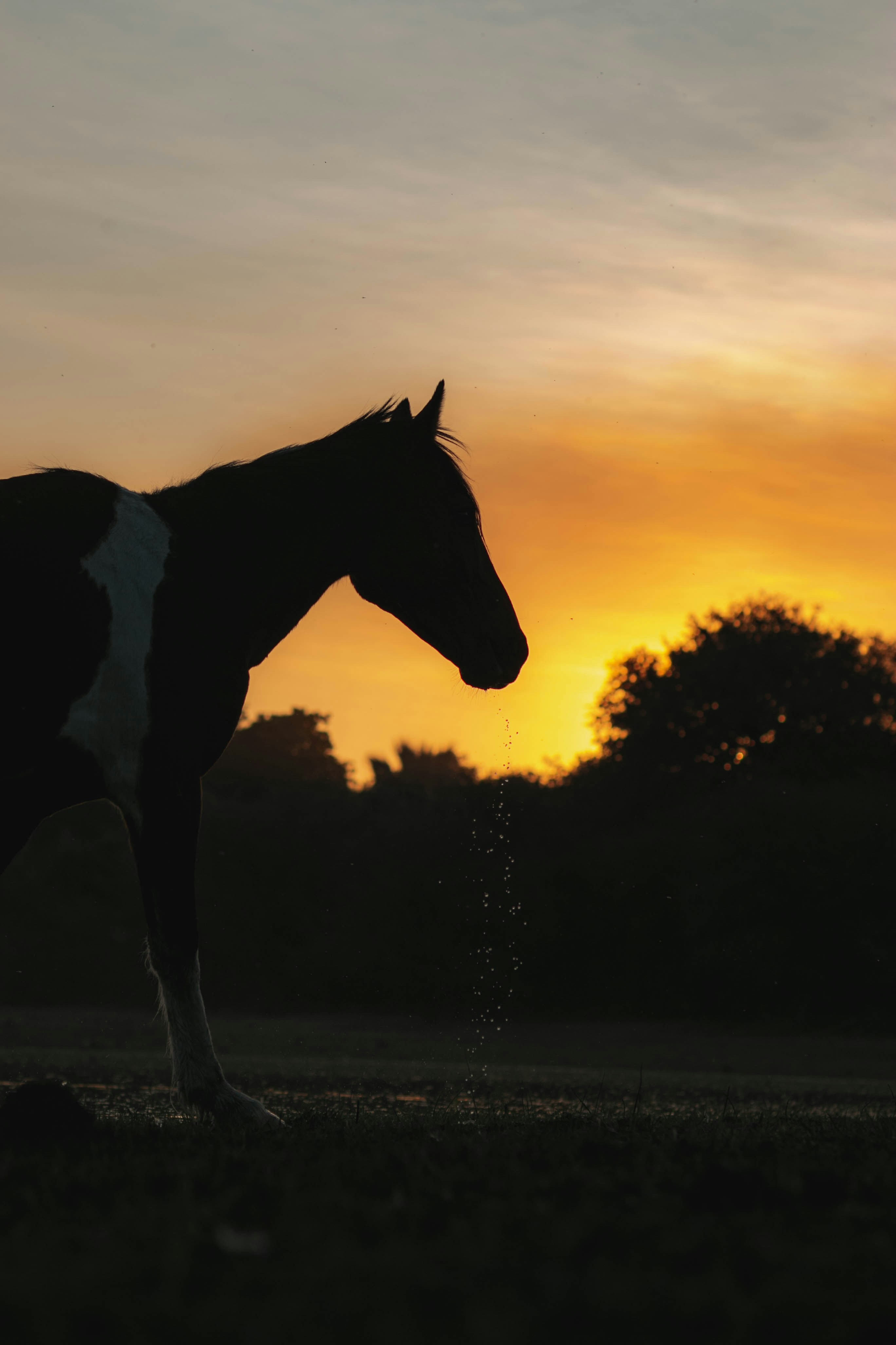 Photo by nonofomaroba