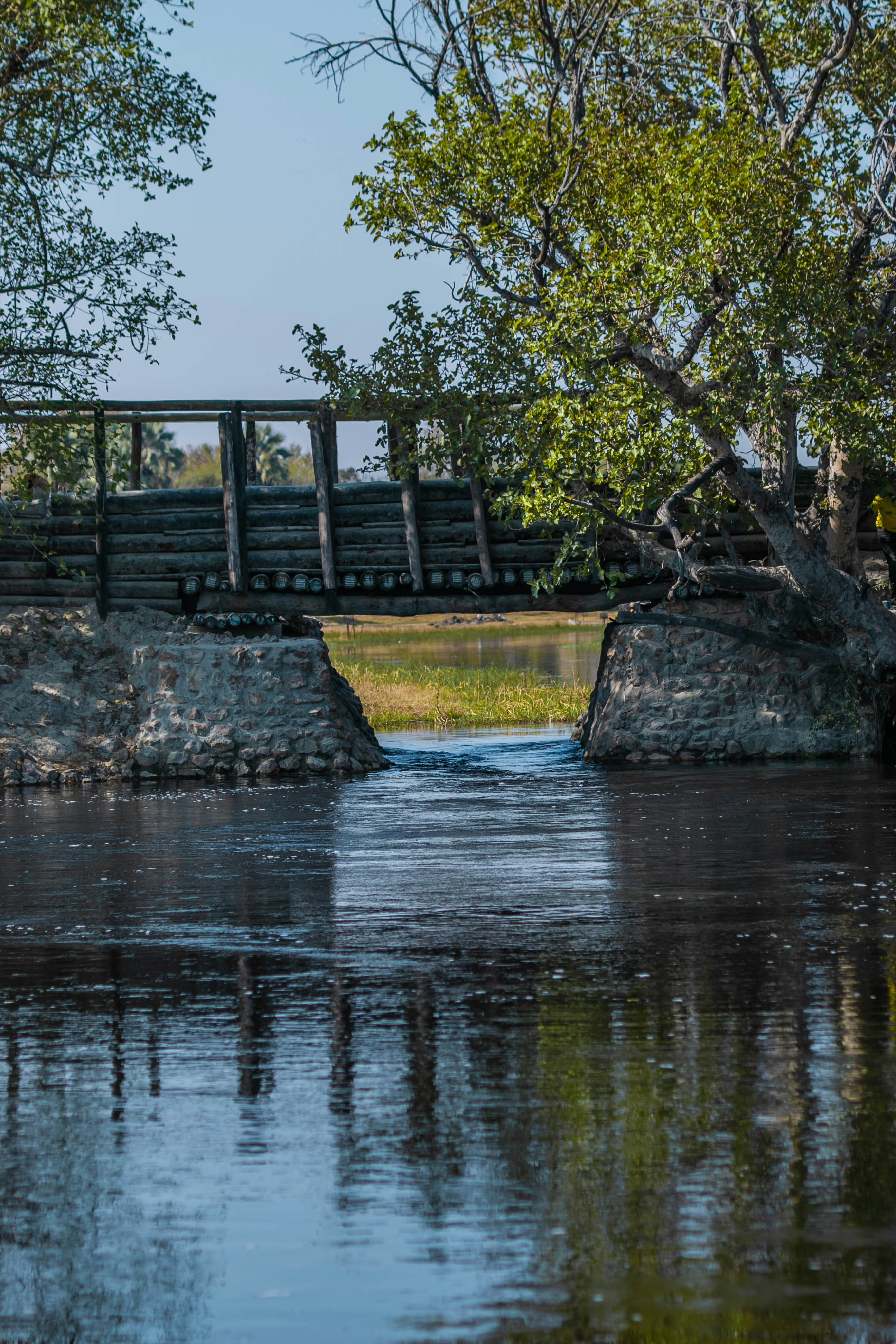 Photo by nonofomaroba