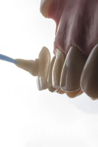 a close-up of a hand
