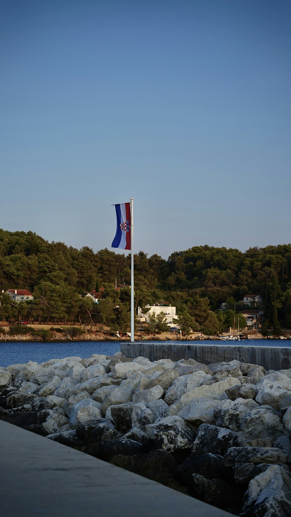 a flag on a pole by a body of water