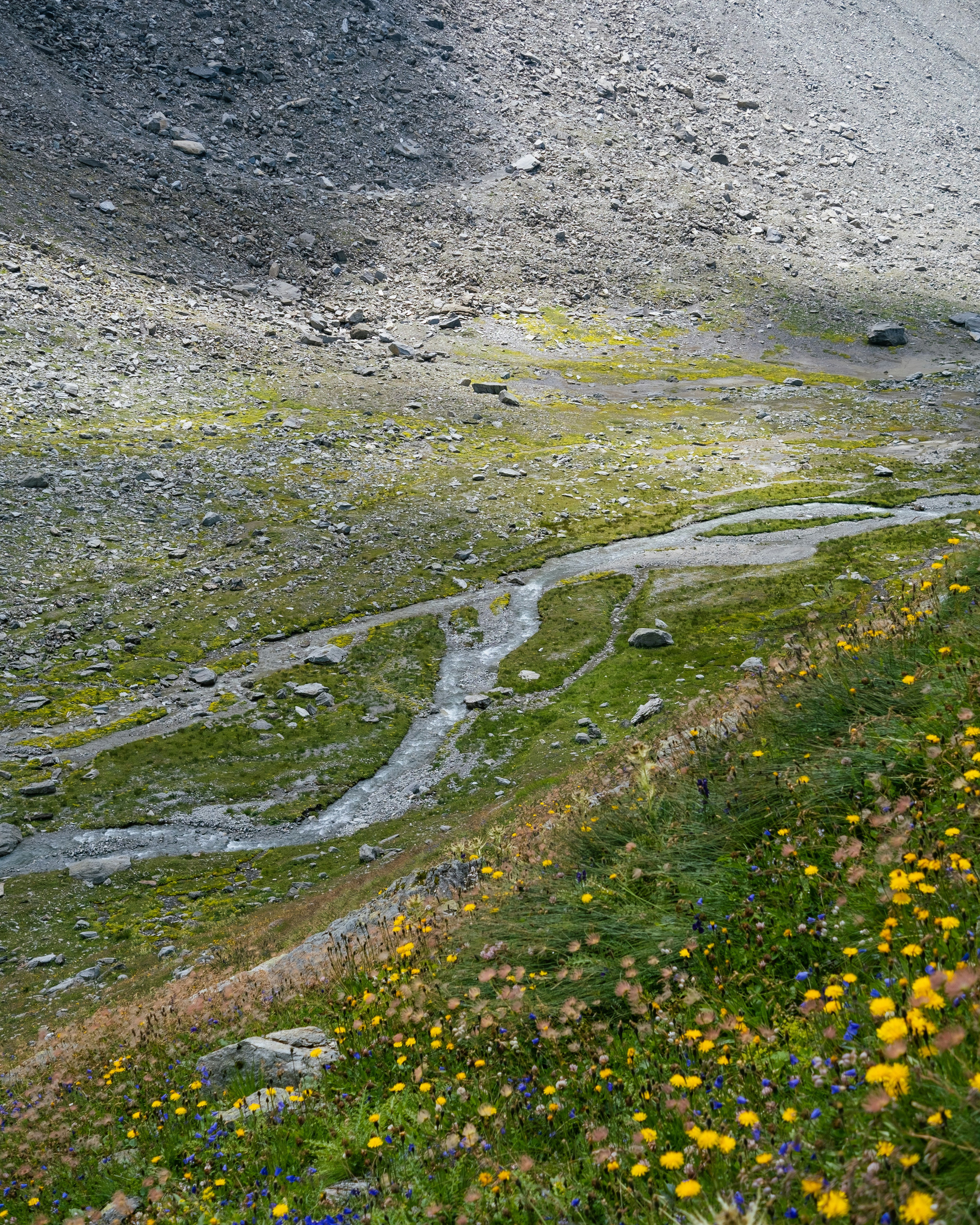 Photo by teobadini