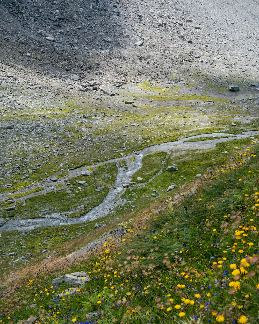 Ein Wasserstrom, der durch ein felsiges Gebiet fließt