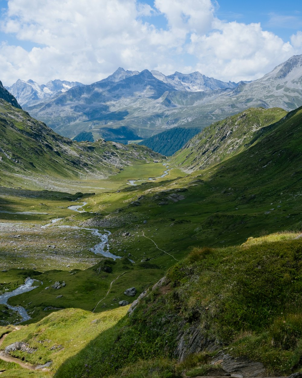 a valley with mountains in the background