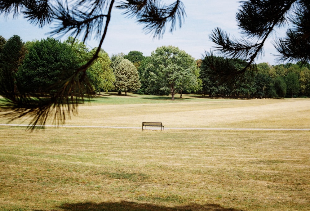 Un banco en un parque