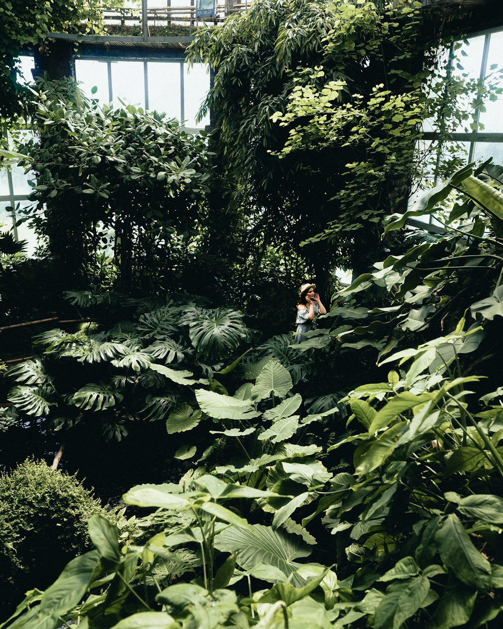 a person standing in a garden