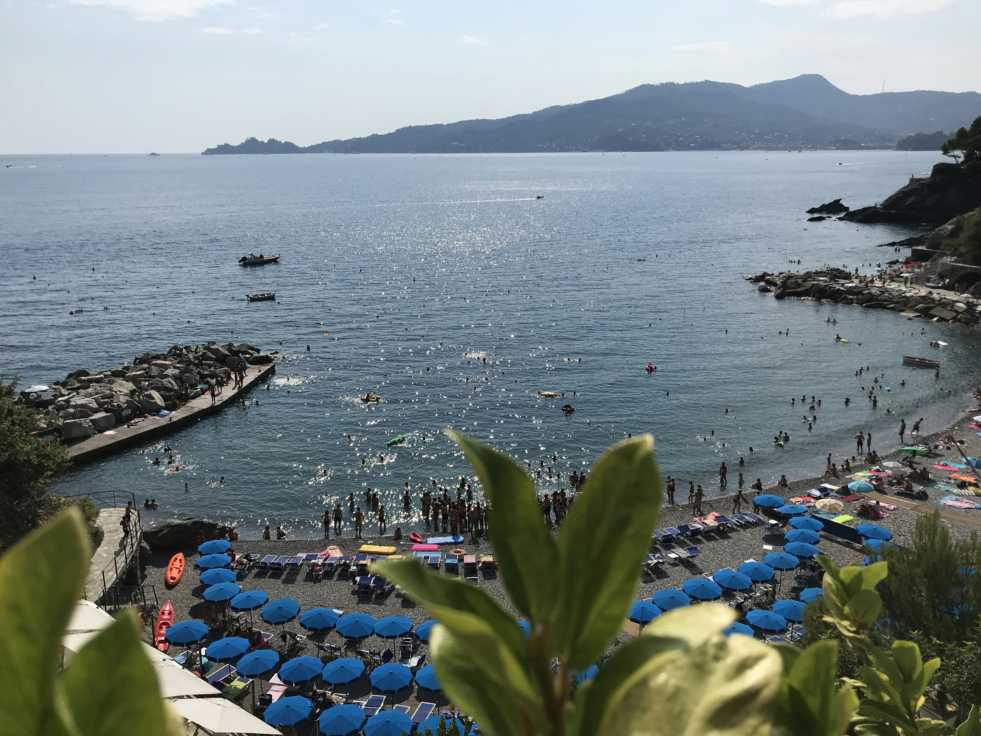 a beach with many people and umbrellas