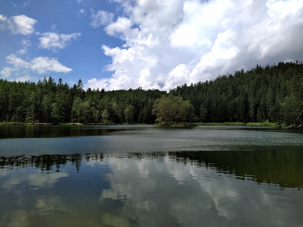 a lake with trees around it