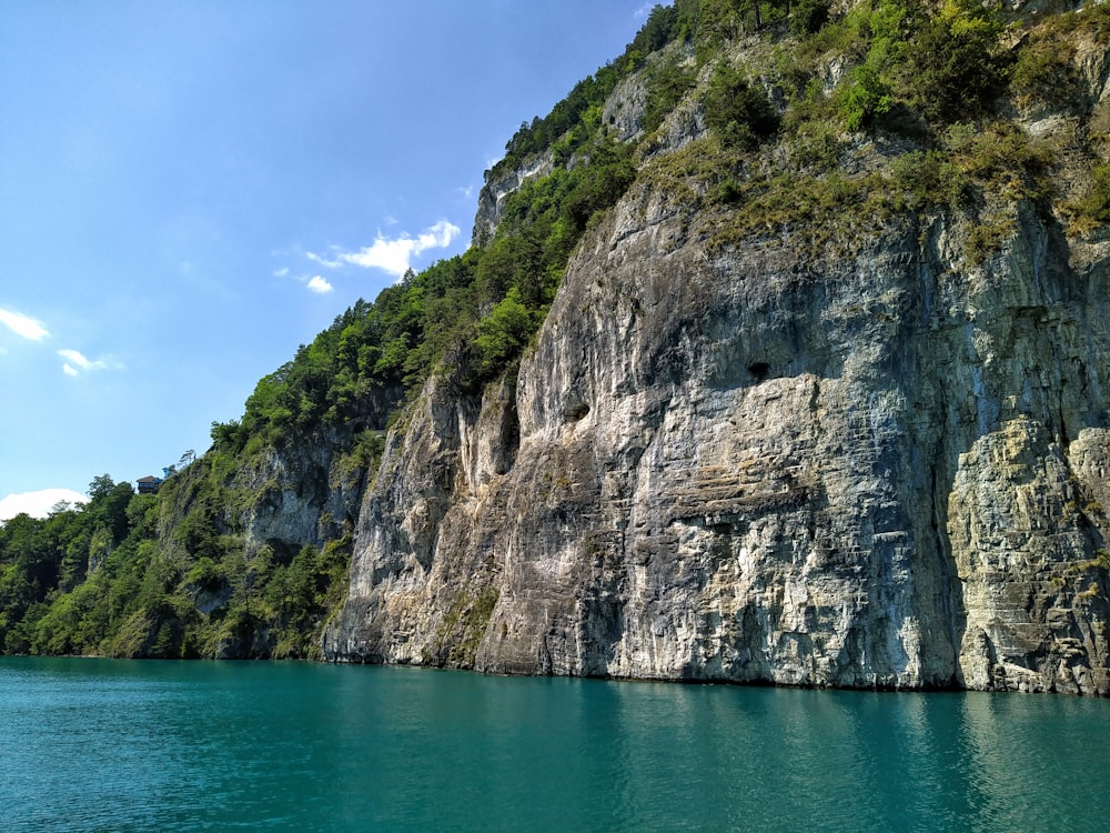 a cliff with trees on it