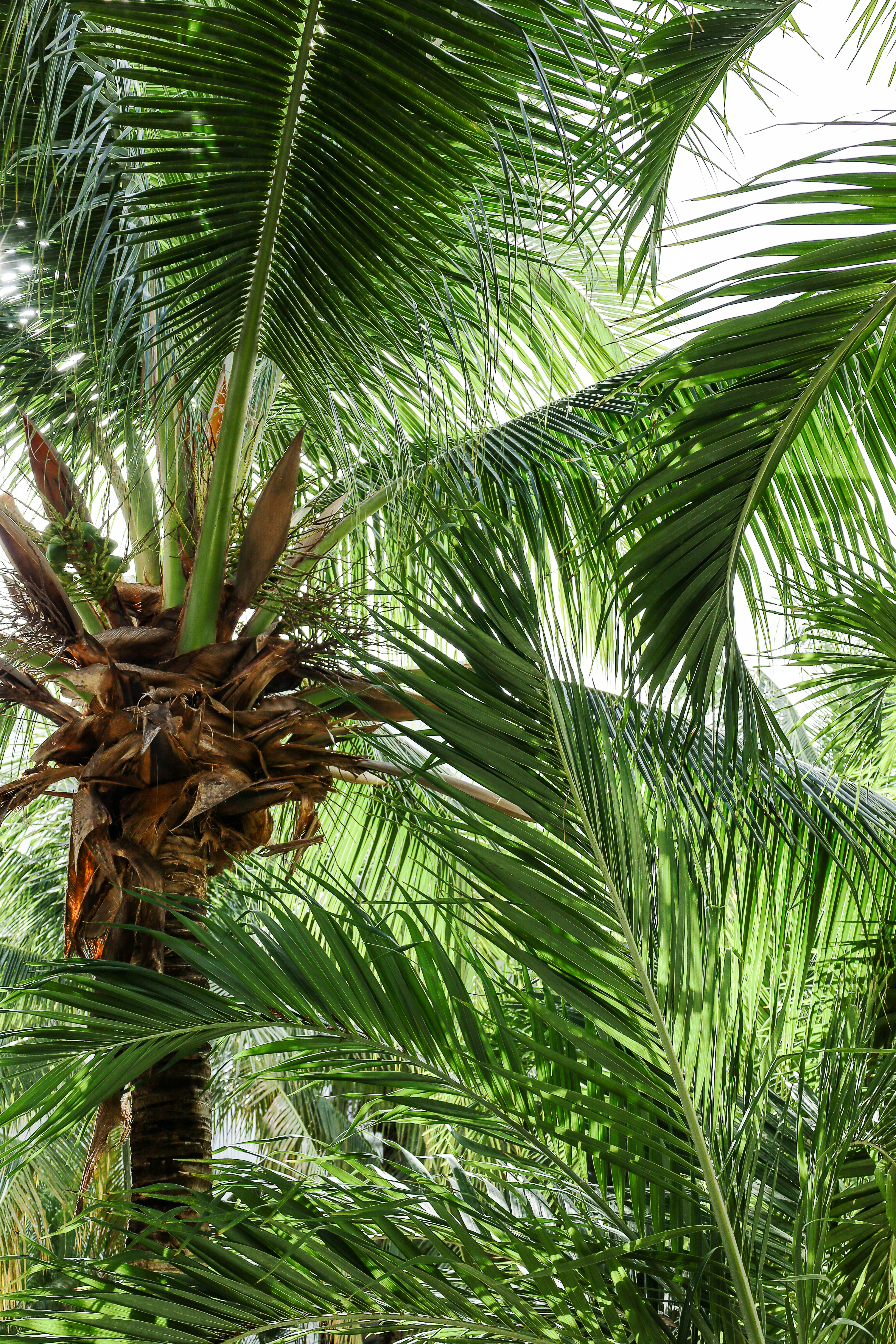 Photo by rosemarymedia