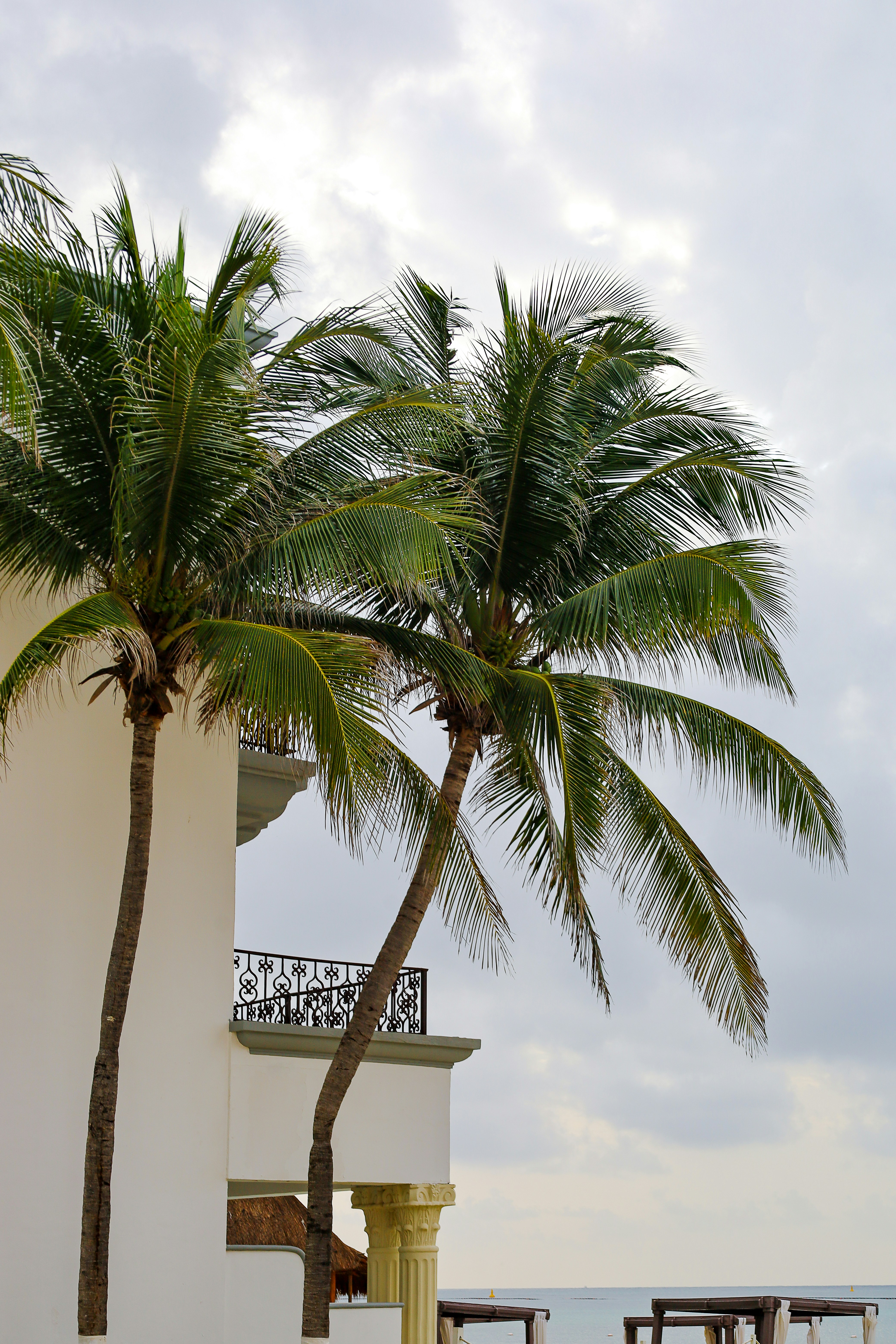 Photo by rosemarymedia