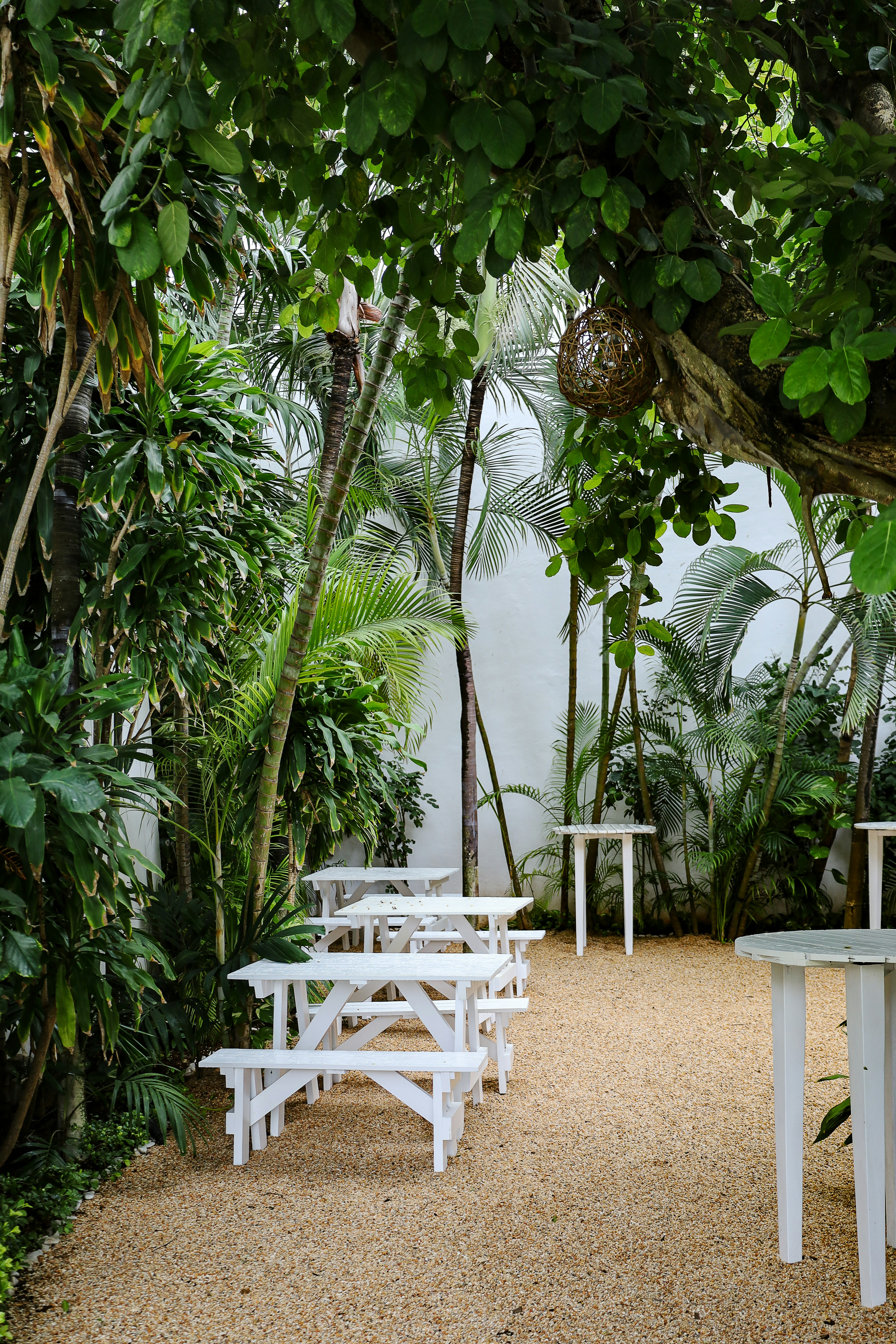 Photo by rosemarymedia