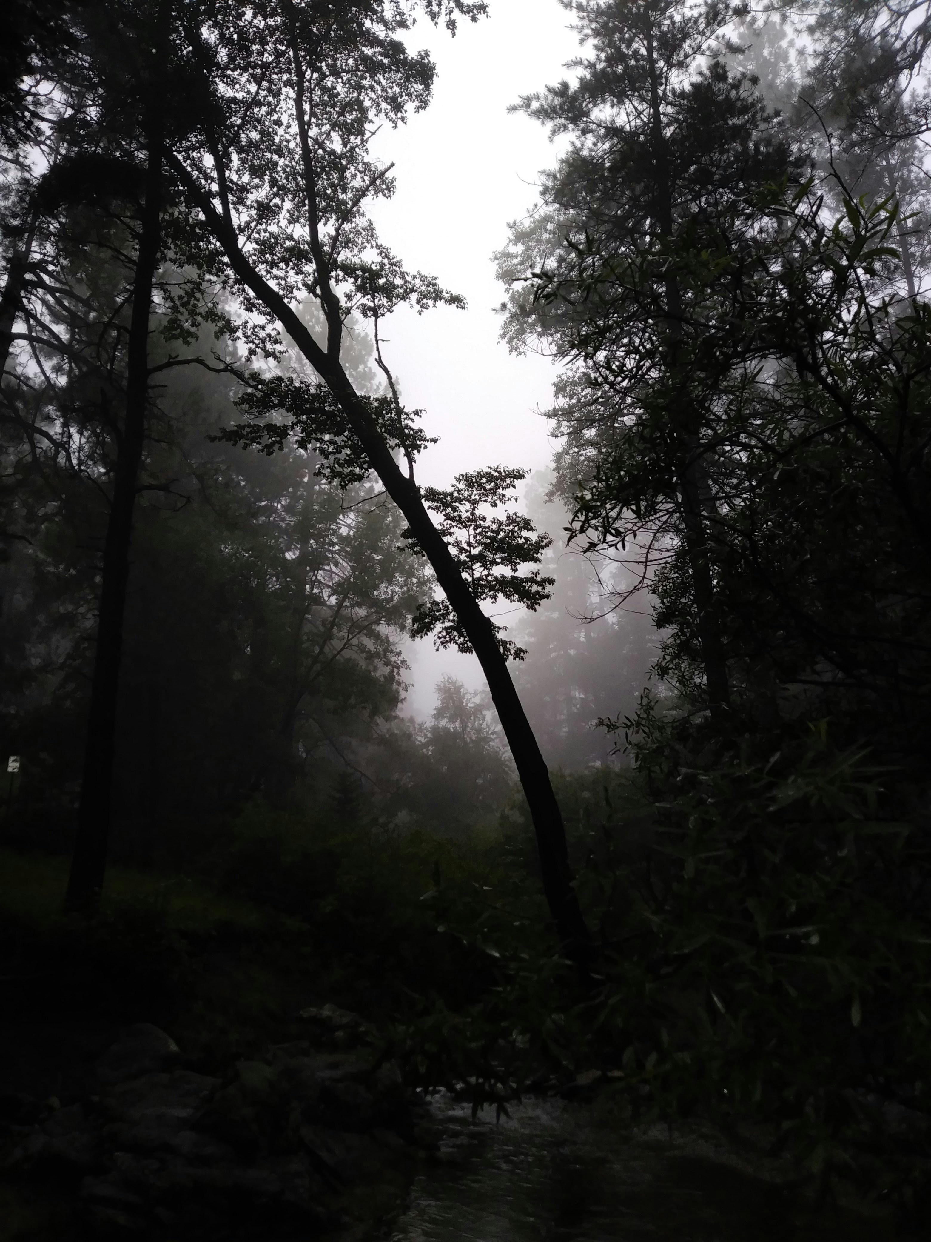 Photo by pandaprincxss