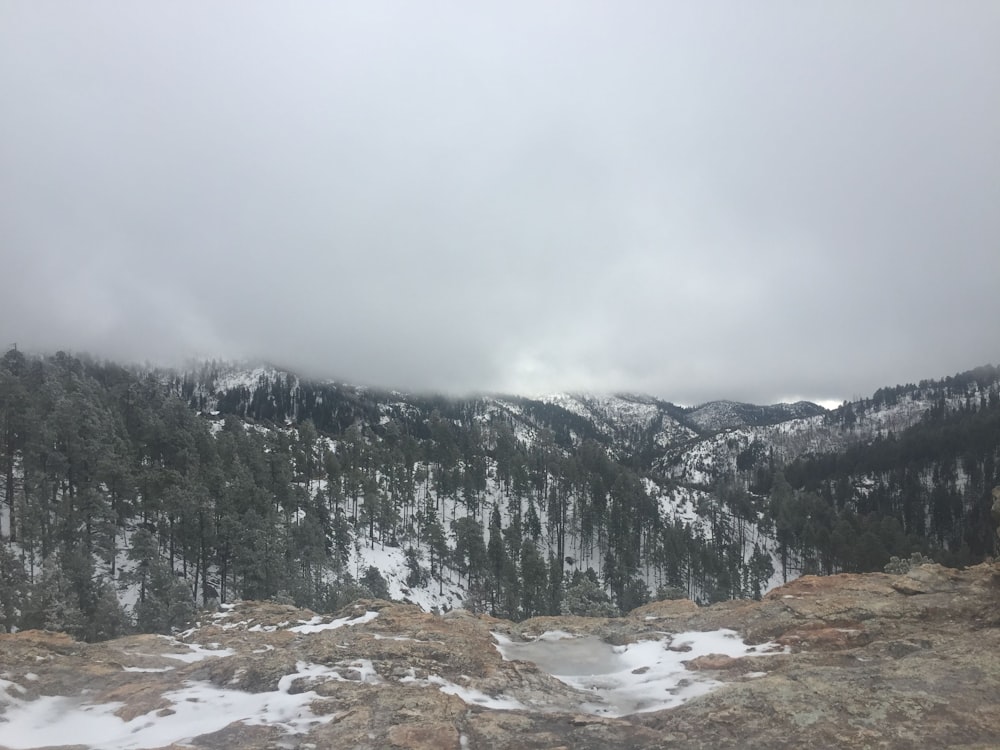 a snowy mountain with trees