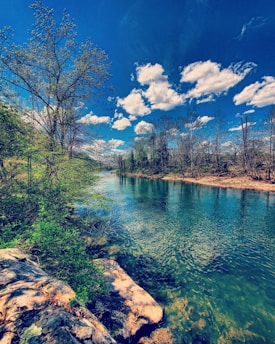 a river with trees and rocks