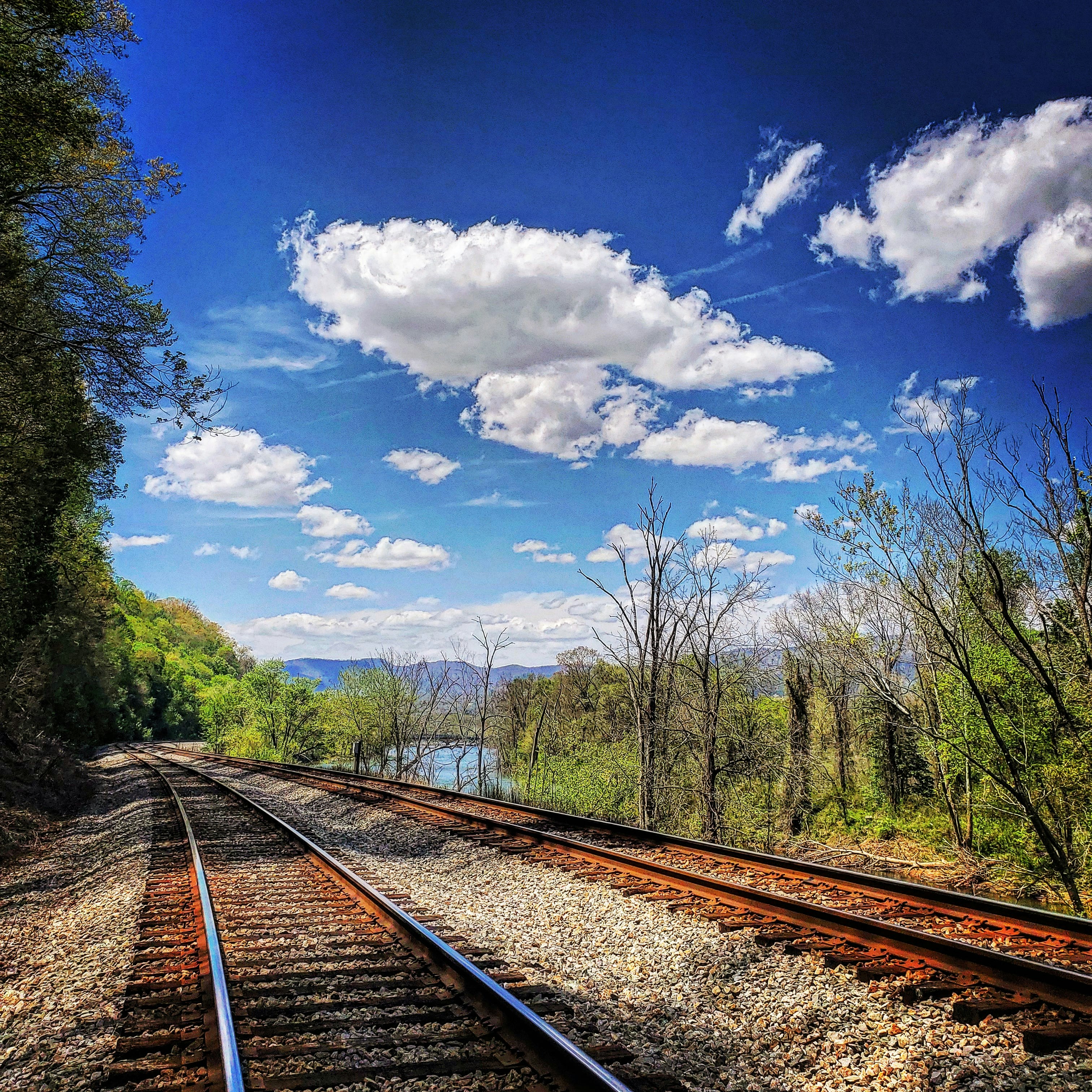 Photo by hillbilly_147