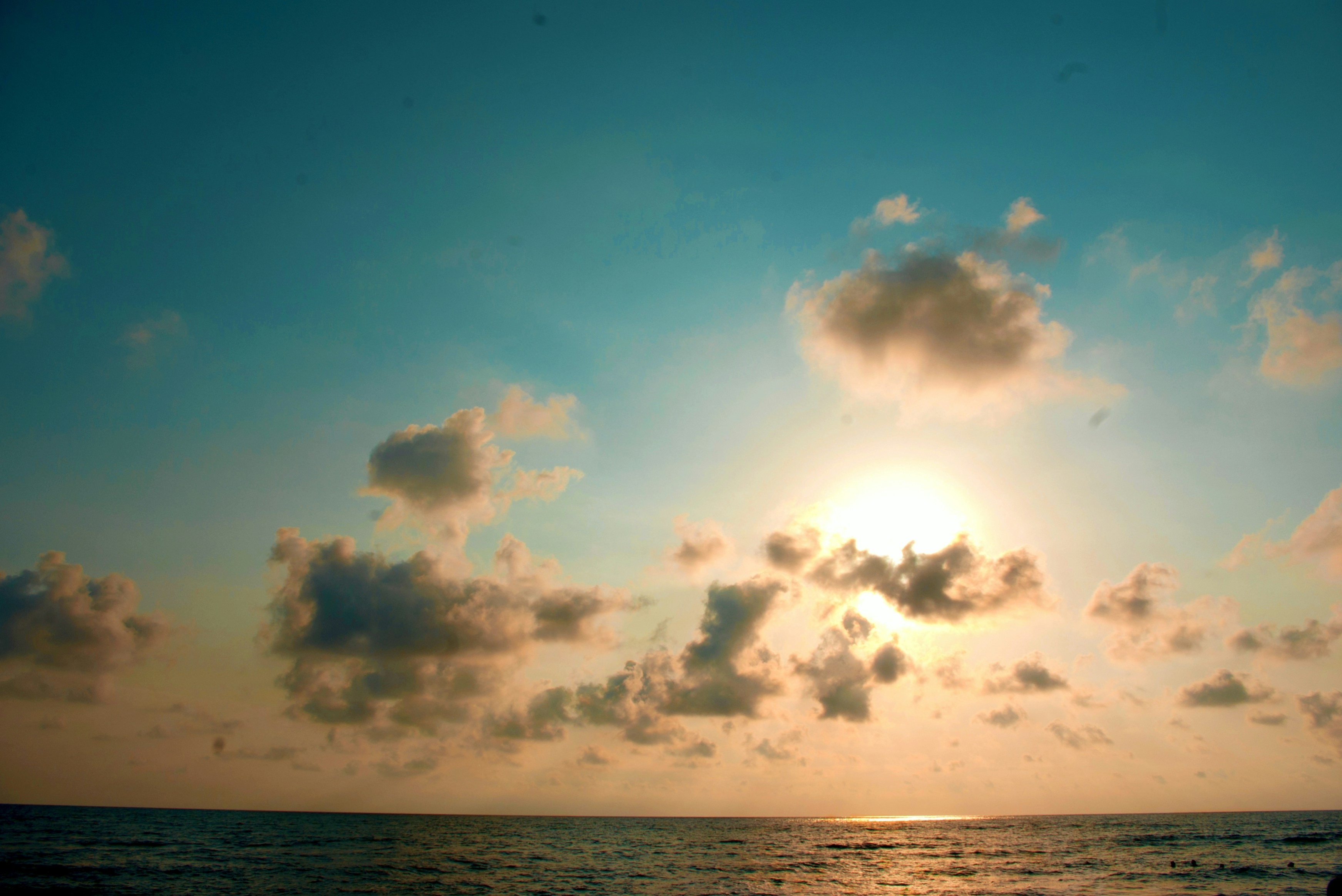 Photo by moonmoons_days