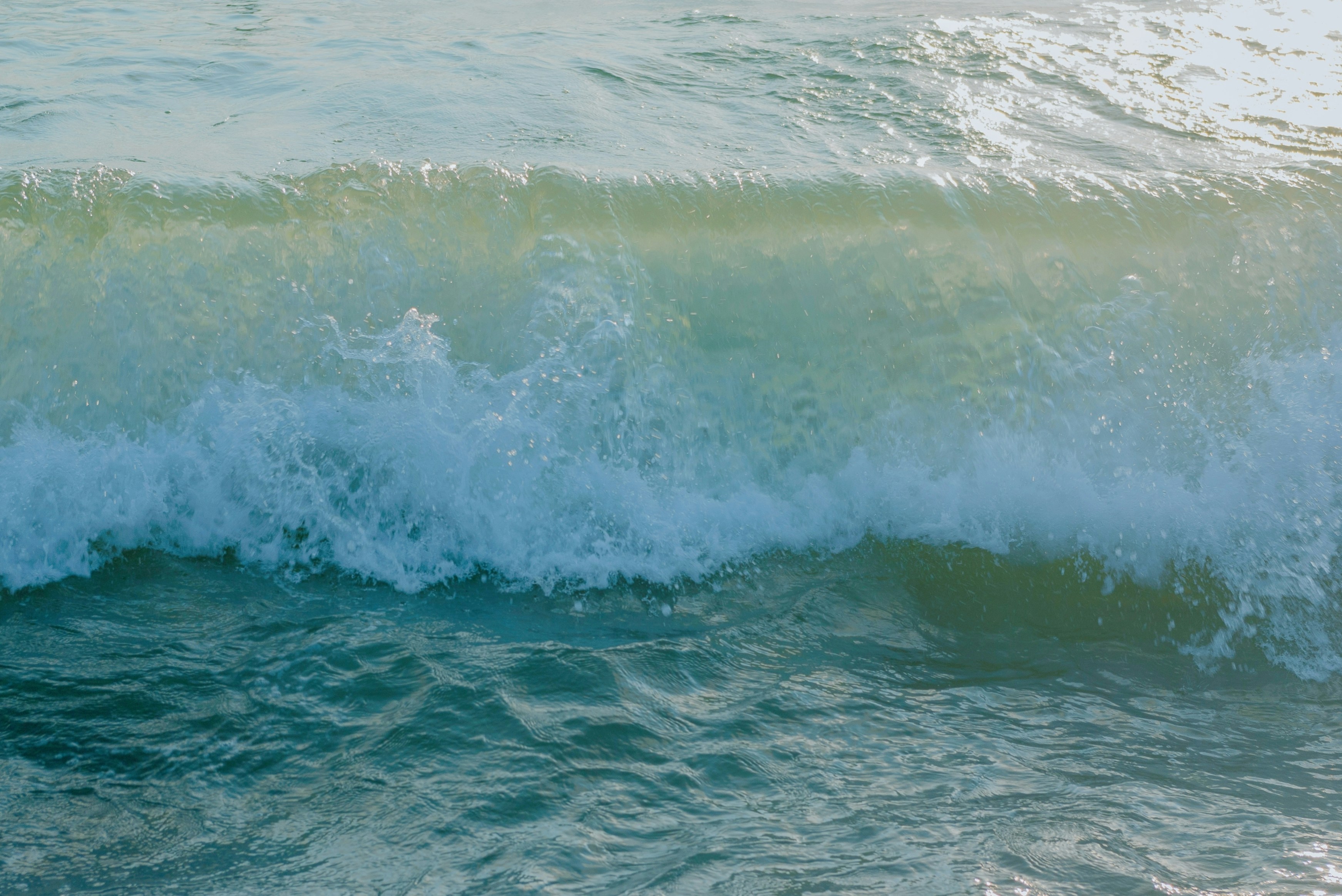 Photo by moonmoons_days