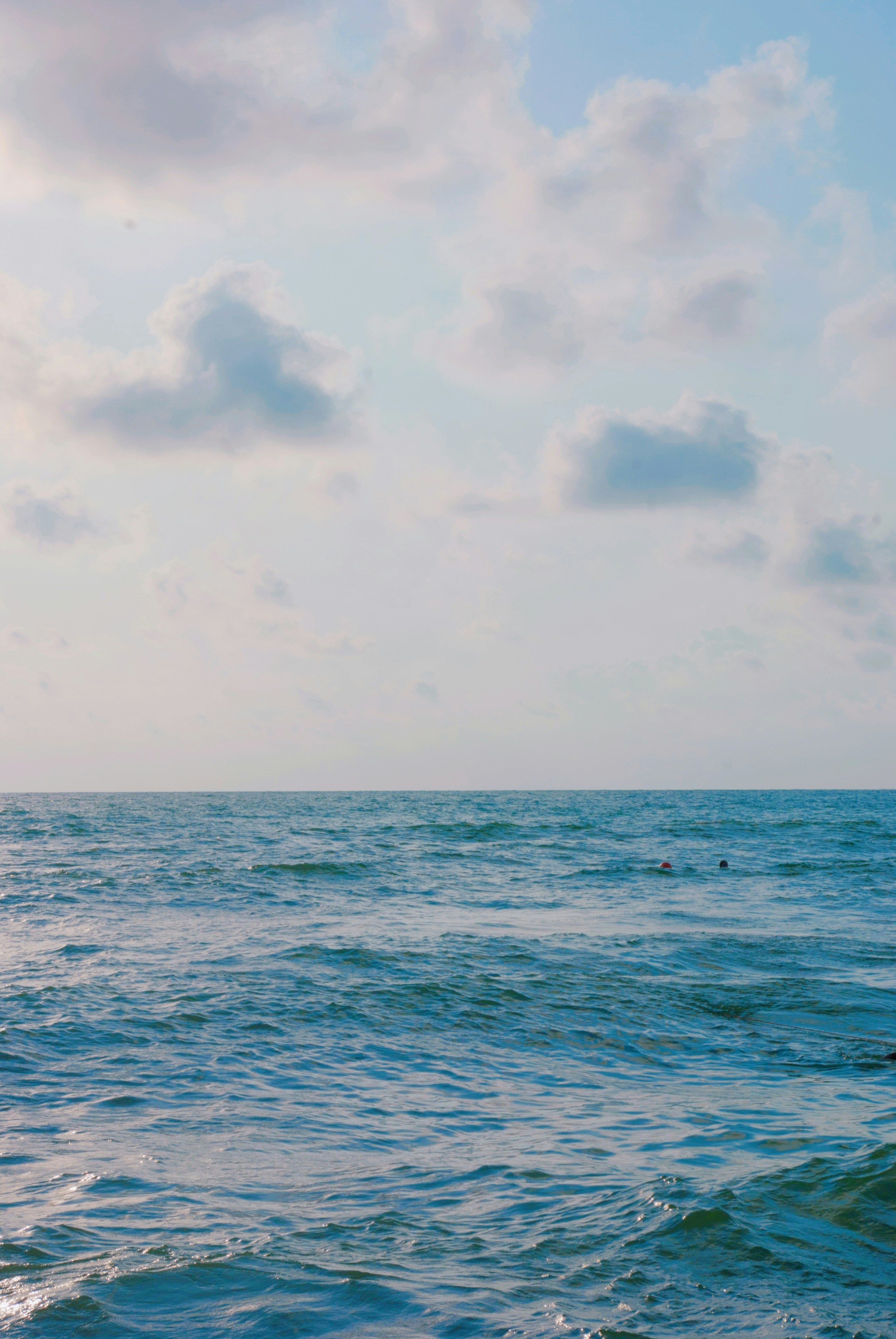 Photo by moonmoons_days