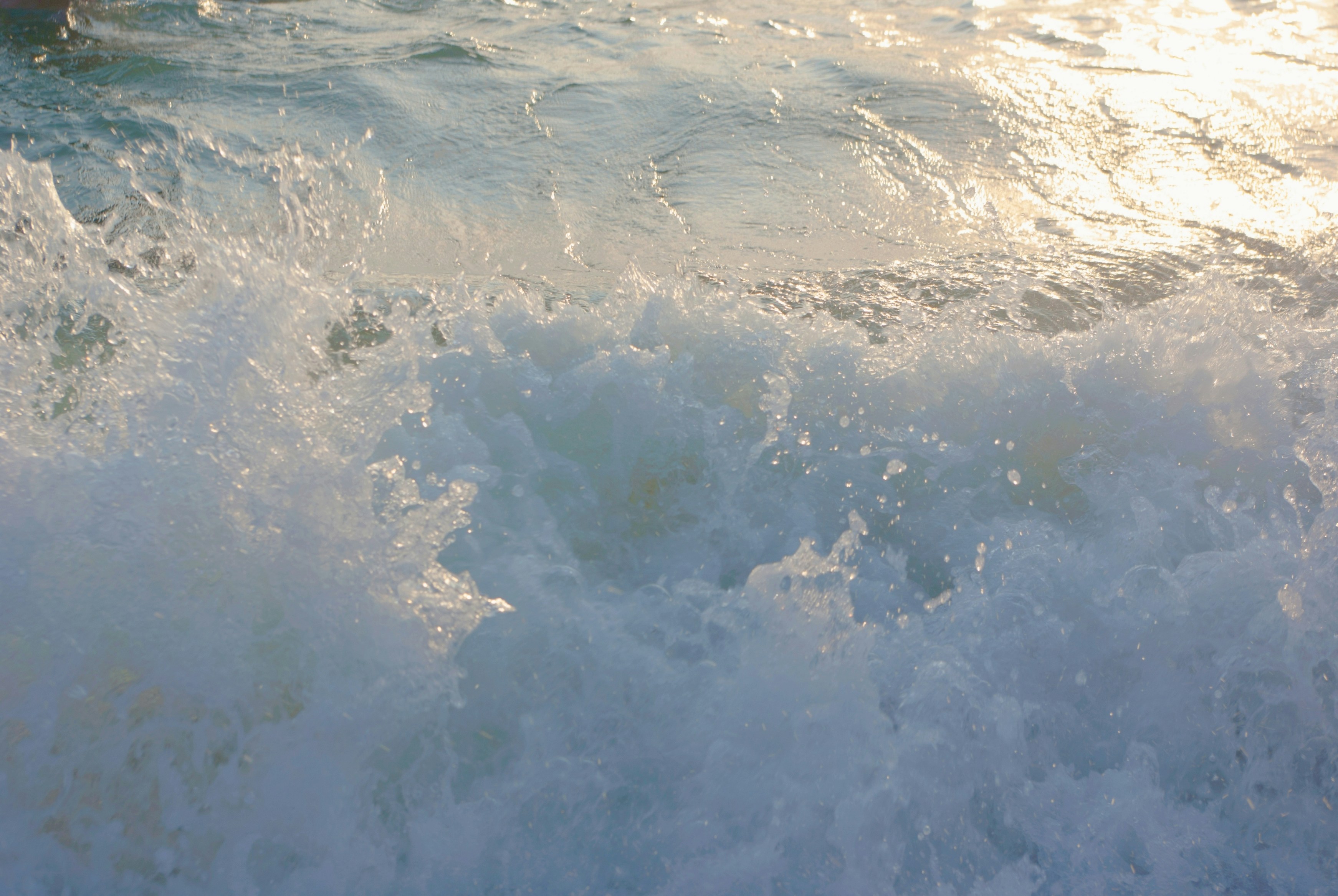 Photo by moonmoons_days