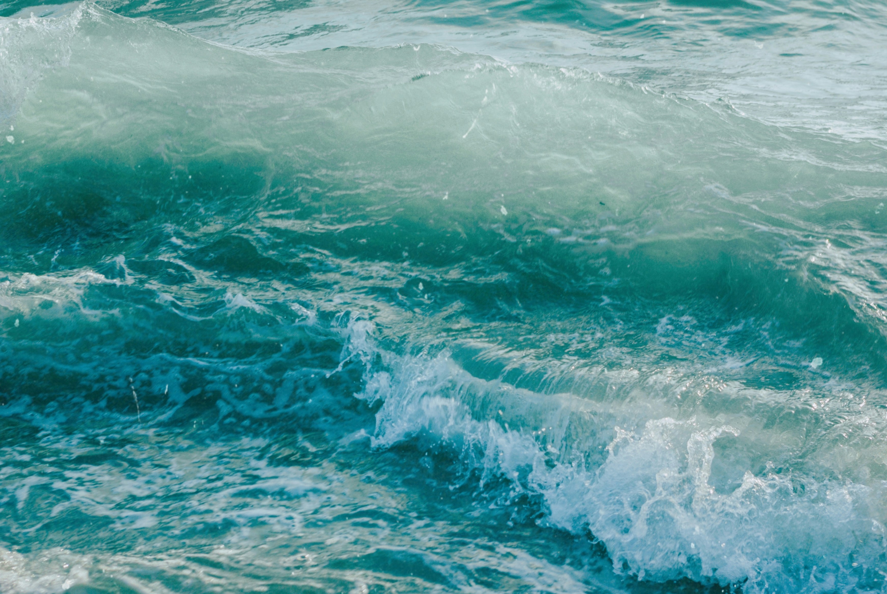 Photo by moonmoons_days