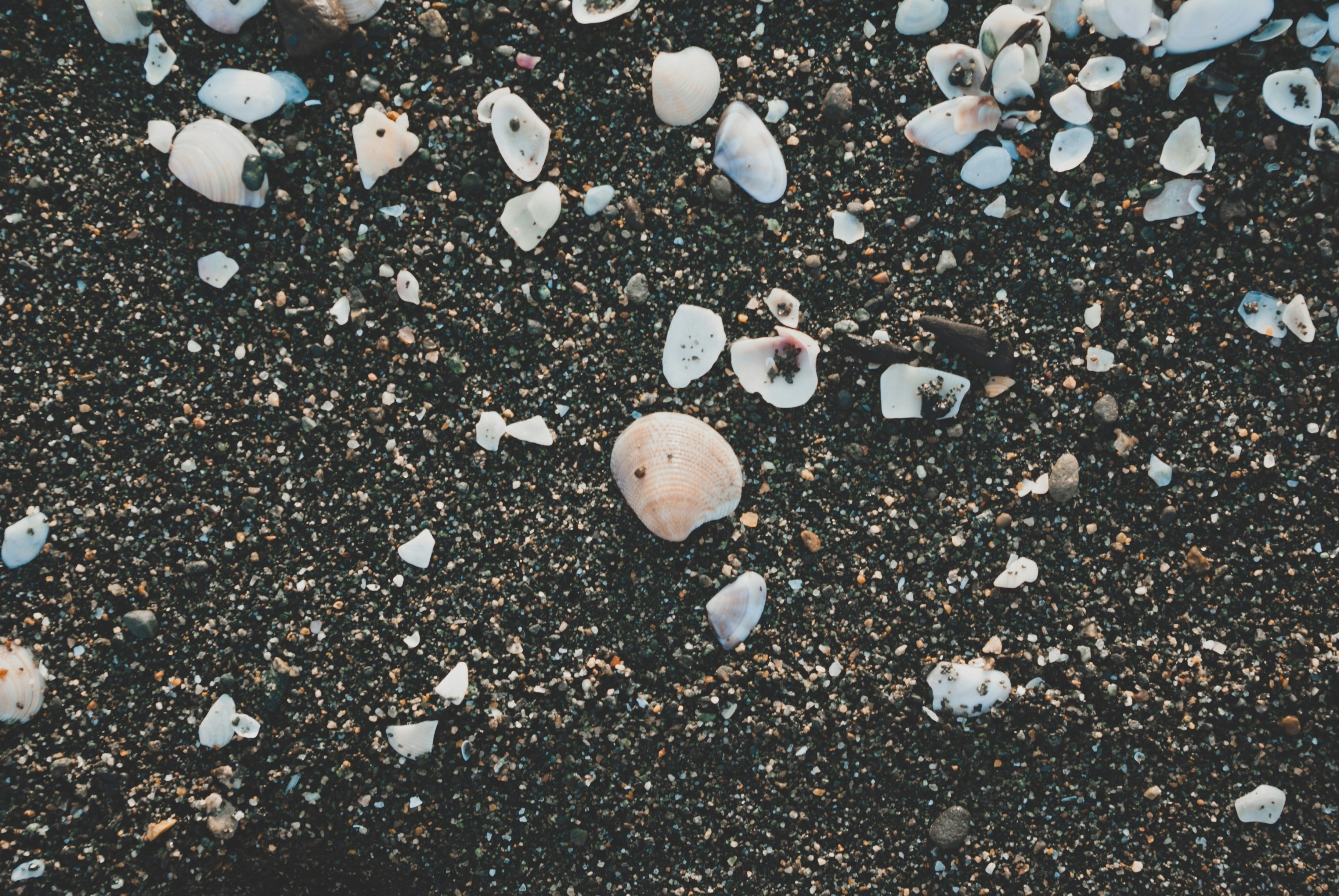 Photo by moonmoons_days